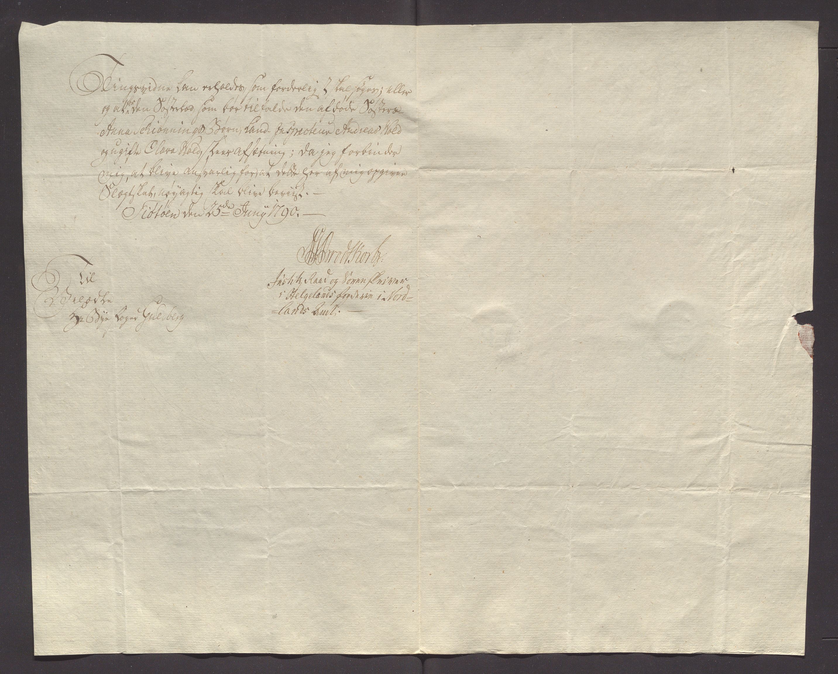 Stavanger byfogd, AV/SAST-A-101408/001/5/50/503C/L0015: Skifter, 1788-1789, s. 196