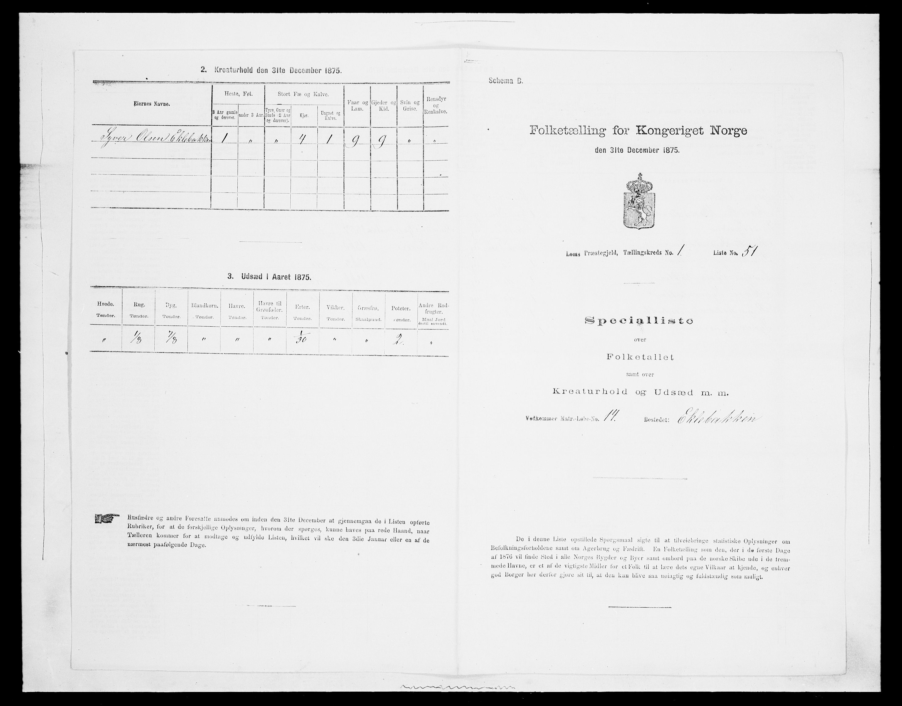 SAH, Folketelling 1875 for 0514P Lom prestegjeld, 1875, s. 161