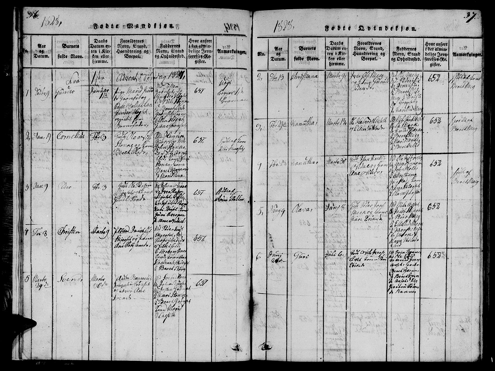 Ministerialprotokoller, klokkerbøker og fødselsregistre - Møre og Romsdal, AV/SAT-A-1454/568/L0811: Klokkerbok nr. 568C01, 1819-1828, s. 36-37