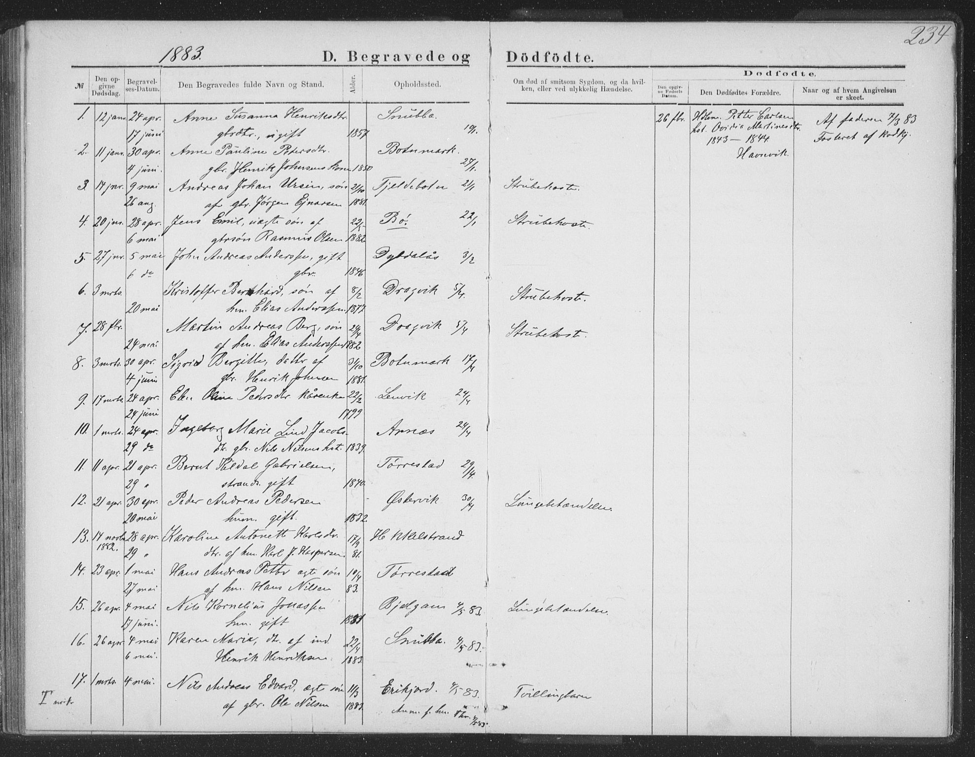 Ministerialprotokoller, klokkerbøker og fødselsregistre - Nordland, AV/SAT-A-1459/863/L0913: Klokkerbok nr. 863C03, 1877-1885, s. 234