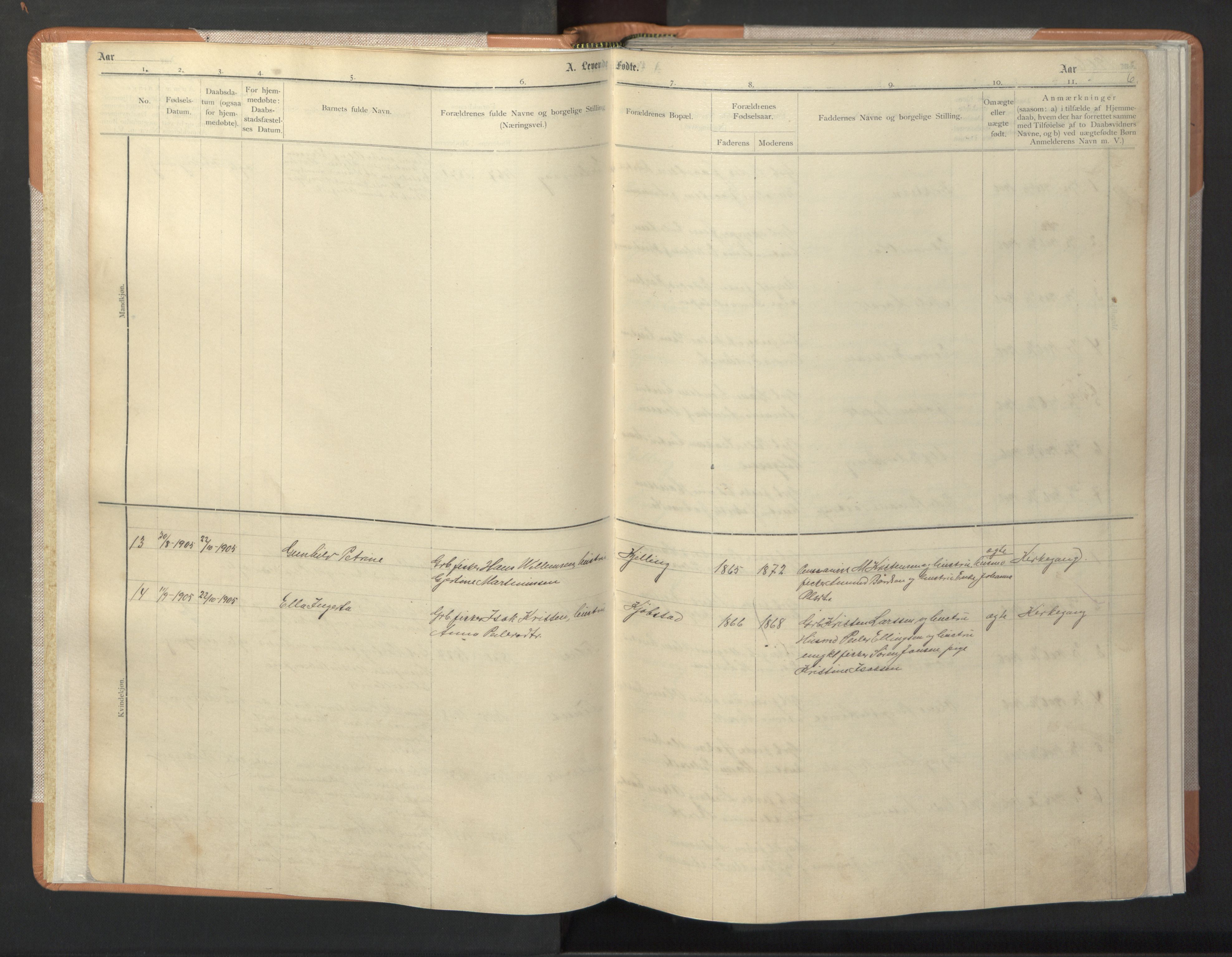 Ministerialprotokoller, klokkerbøker og fødselsregistre - Nordland, AV/SAT-A-1459/806/L0117: Klokkerbok nr. 806C01, 1905-1957, s. 6