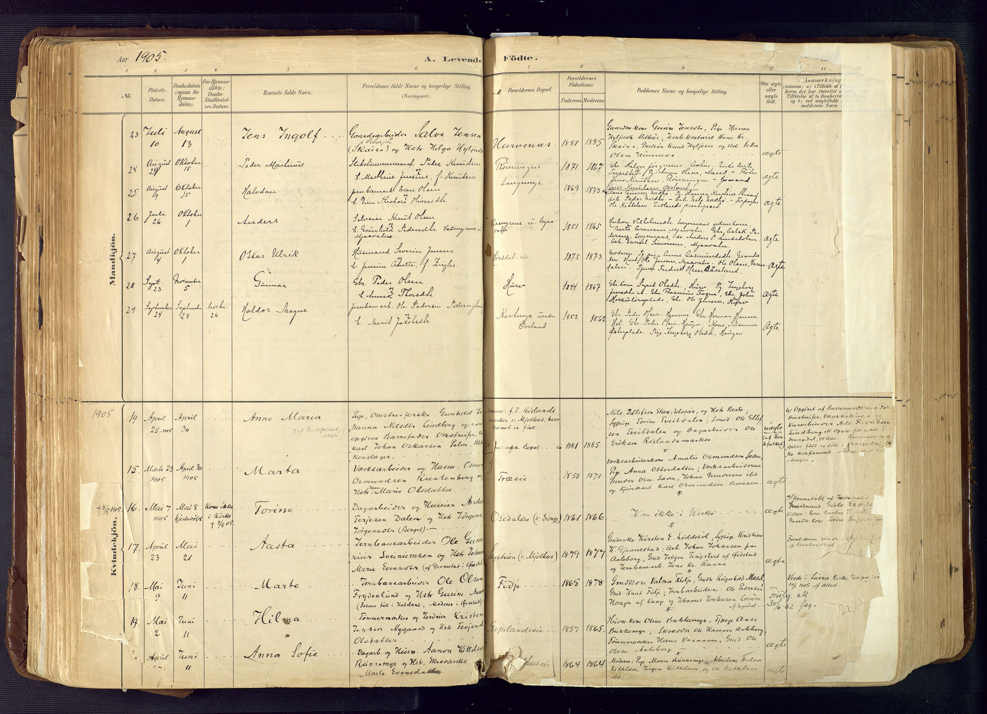 Froland sokneprestkontor, AV/SAK-1111-0013/F/Fa/L0005: Ministerialbok nr. A 5, 1882-1921, s. 129