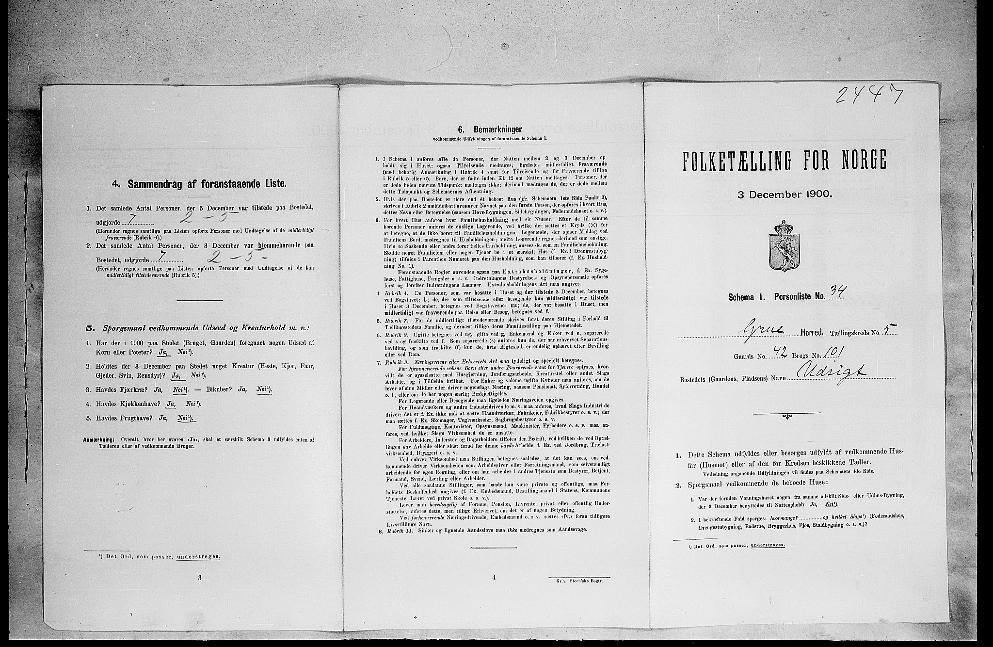 SAH, Folketelling 1900 for 0423 Grue herred, 1900, s. 989