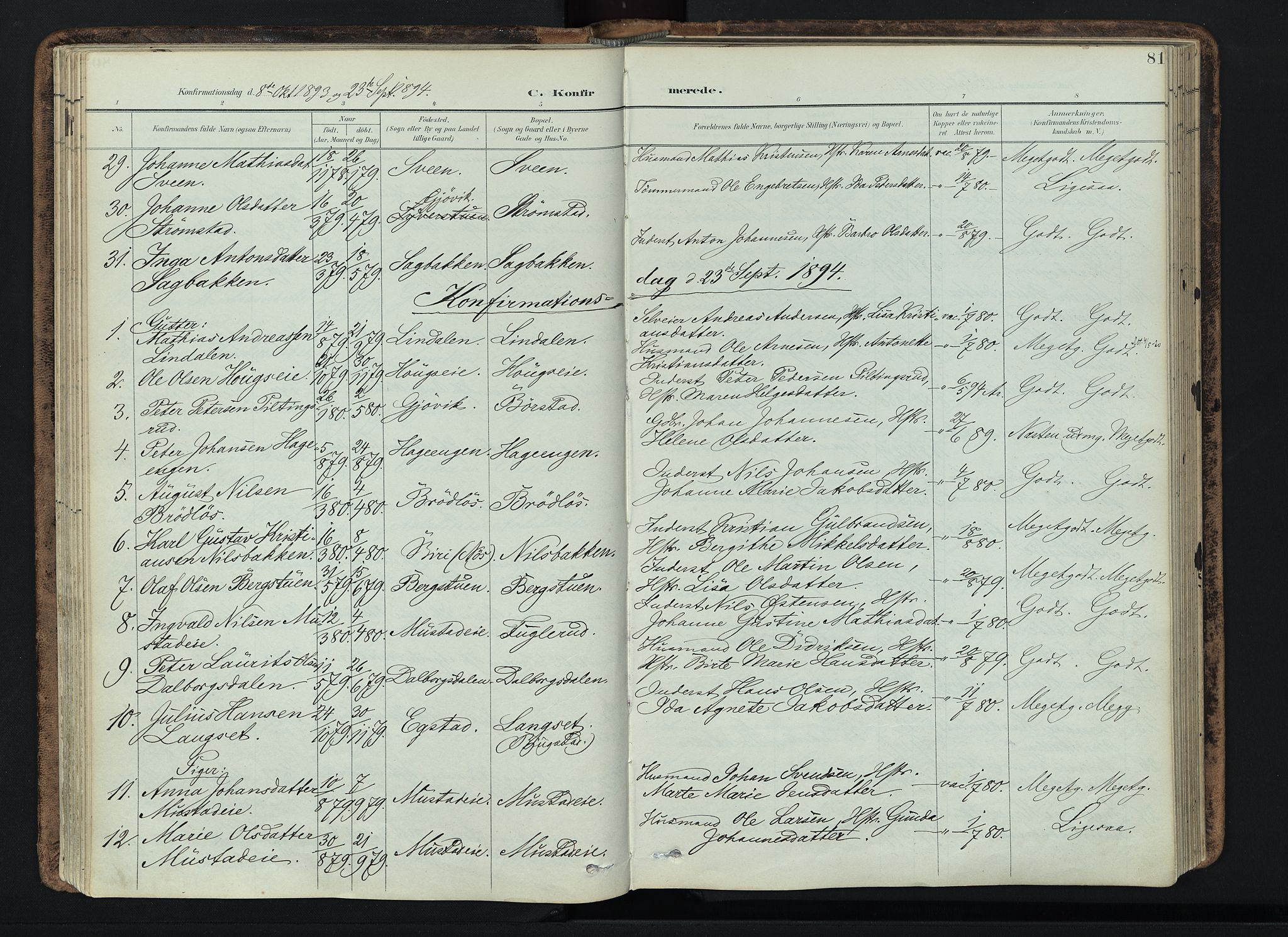 Vardal prestekontor, AV/SAH-PREST-100/H/Ha/Haa/L0019: Ministerialbok nr. 19, 1893-1907, s. 81