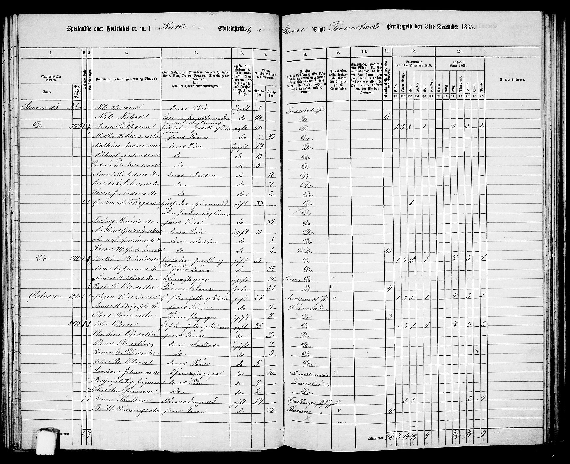 RA, Folketelling 1865 for 1152L Torvastad prestegjeld, Torvastad sokn, Skåre sokn og Utsira sokn, 1865, s. 80