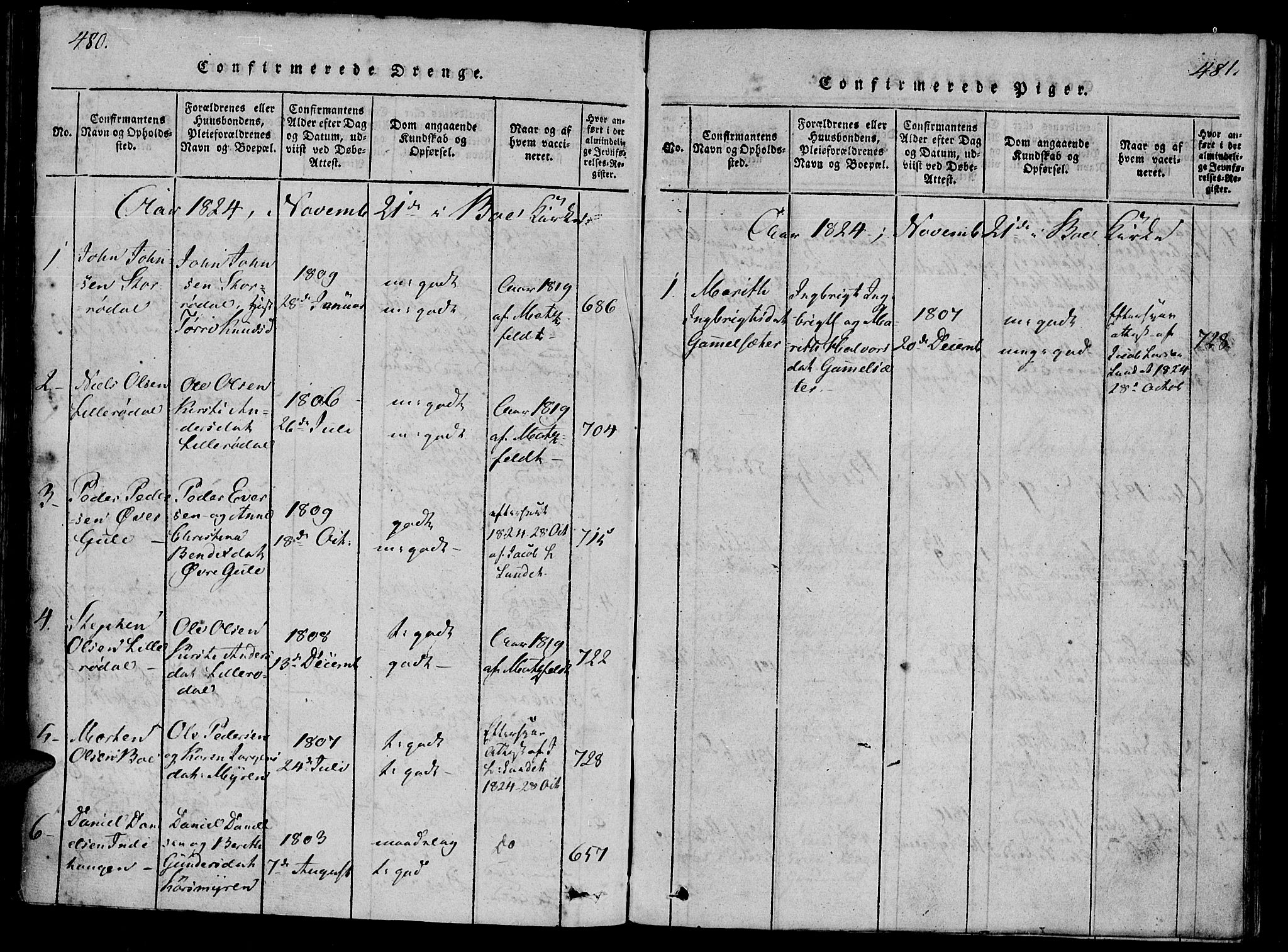 Ministerialprotokoller, klokkerbøker og fødselsregistre - Møre og Romsdal, AV/SAT-A-1454/566/L0763: Ministerialbok nr. 566A03 /1, 1817-1829, s. 480-481