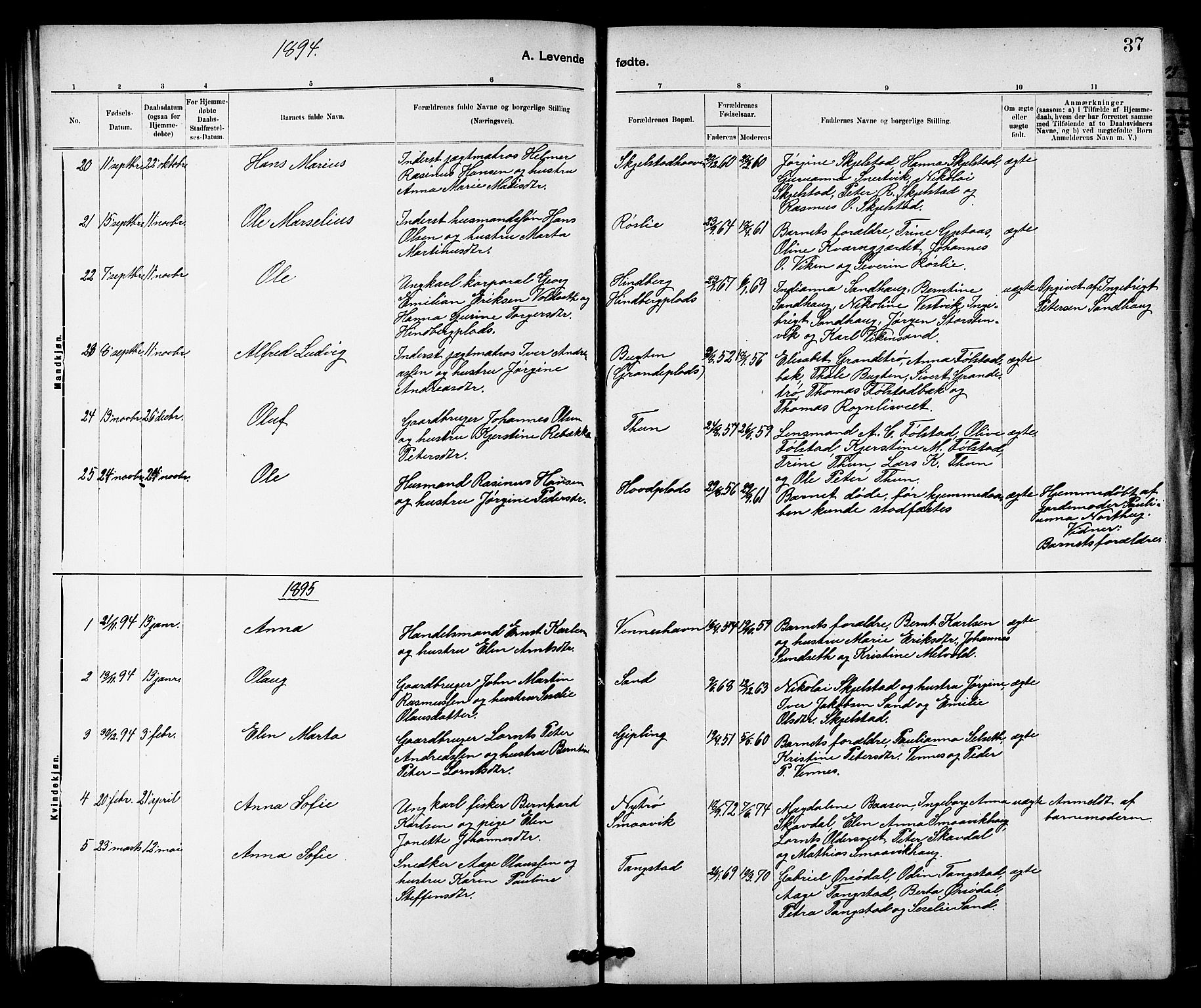 Ministerialprotokoller, klokkerbøker og fødselsregistre - Nord-Trøndelag, SAT/A-1458/744/L0423: Klokkerbok nr. 744C02, 1886-1905, s. 37