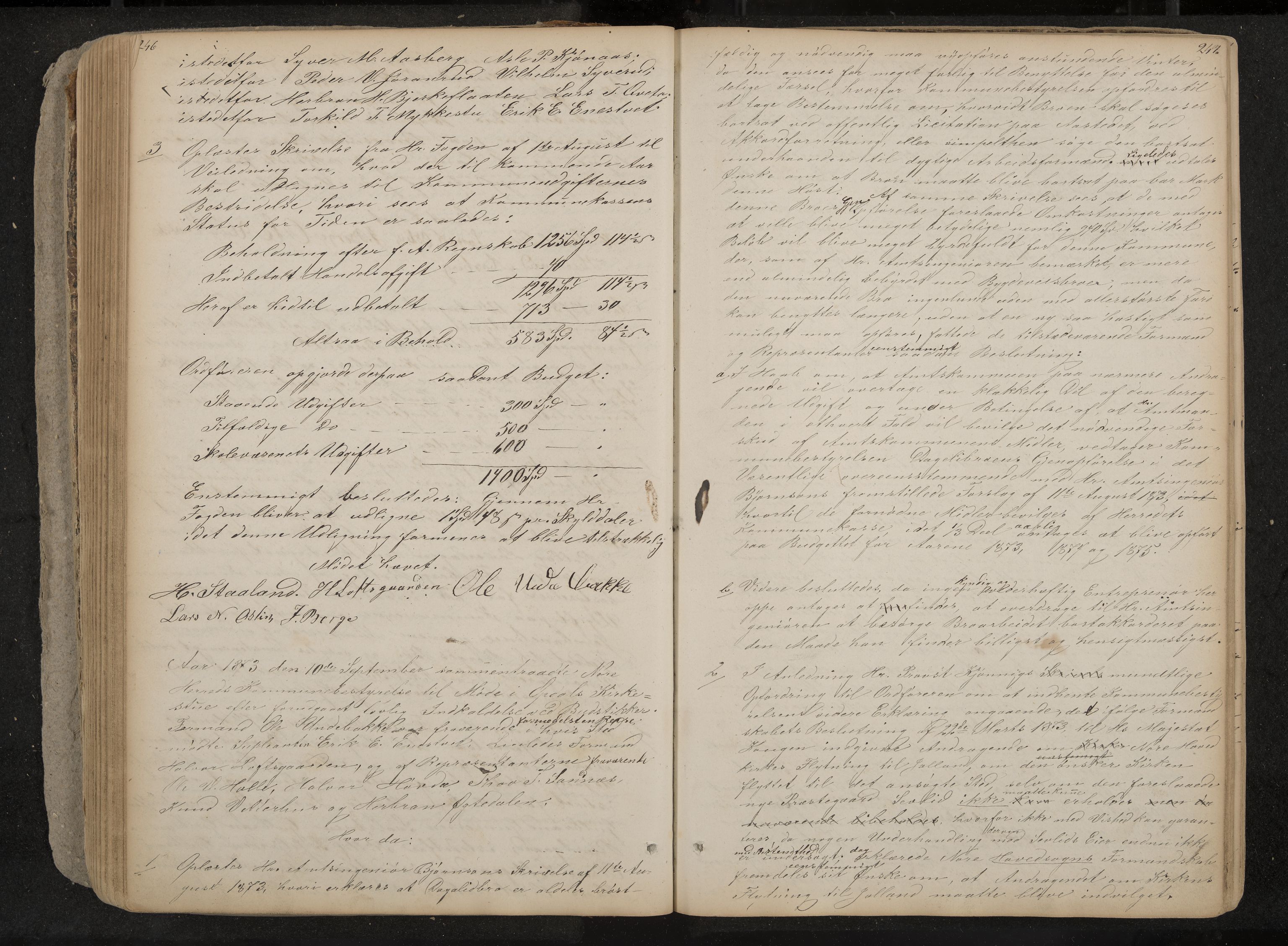 Nore og Uvdal formannskap, IKAK/0633021-1/A/L0001: Møtebok, 1859-1882, s. 246-247