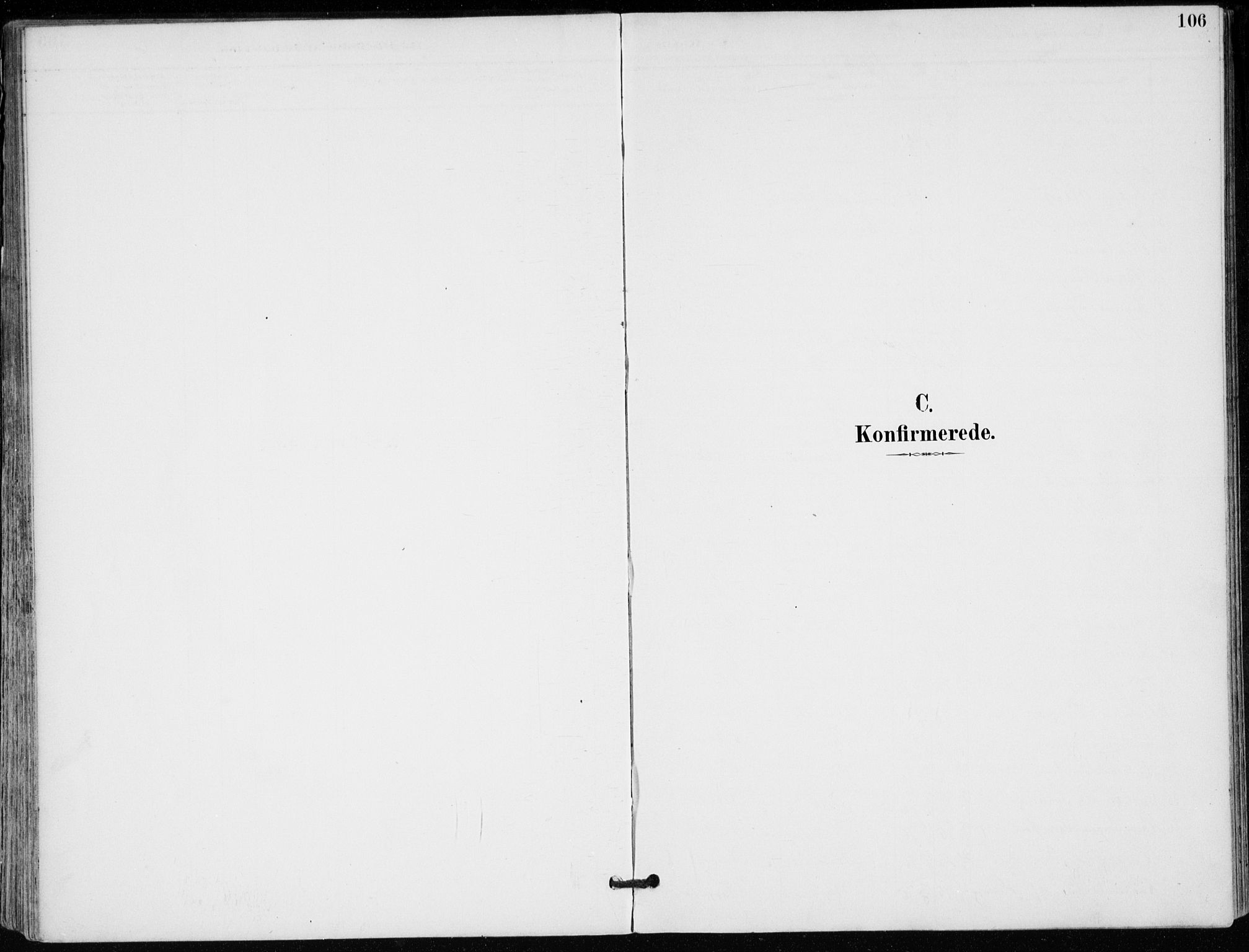 Modum kirkebøker, AV/SAKO-A-234/F/Fa/L0012: Ministerialbok nr. 12, 1890-1898, s. 106