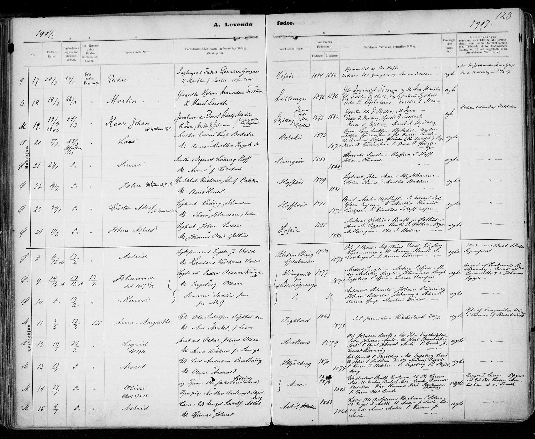 Ministerialprotokoller, klokkerbøker og fødselsregistre - Sør-Trøndelag, SAT/A-1456/668/L0811: Ministerialbok nr. 668A11, 1894-1913, s. 123