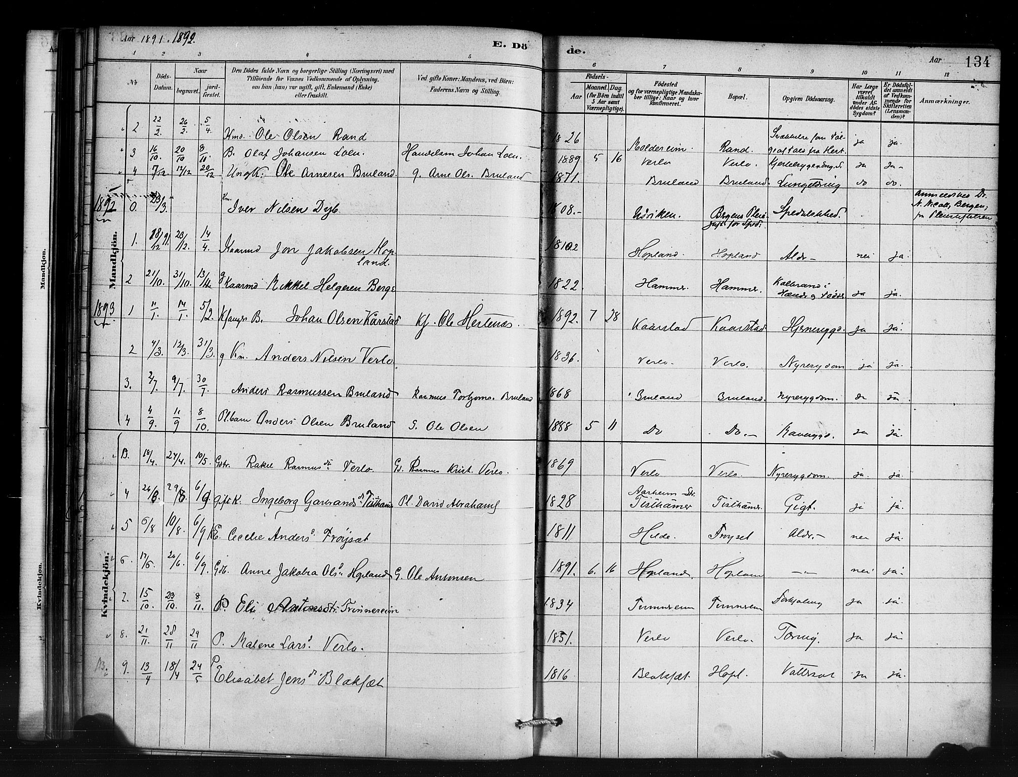 Innvik sokneprestembete, AV/SAB-A-80501: Ministerialbok nr. D 1, 1879-1900, s. 134