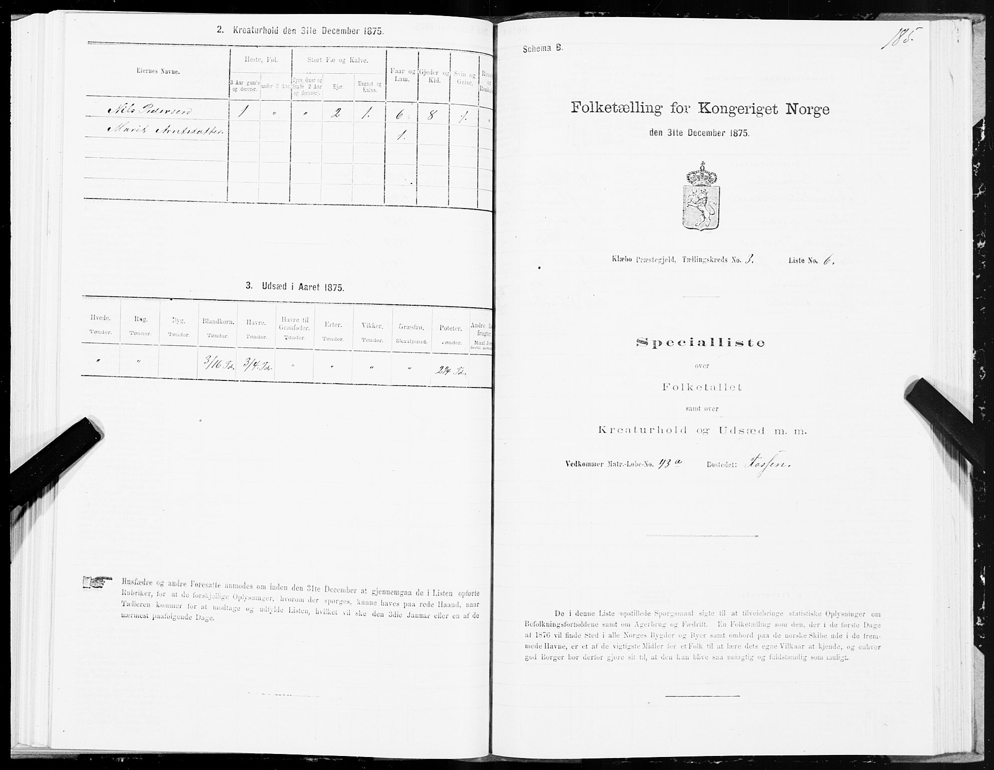 SAT, Folketelling 1875 for 1662P Klæbu prestegjeld, 1875, s. 1185