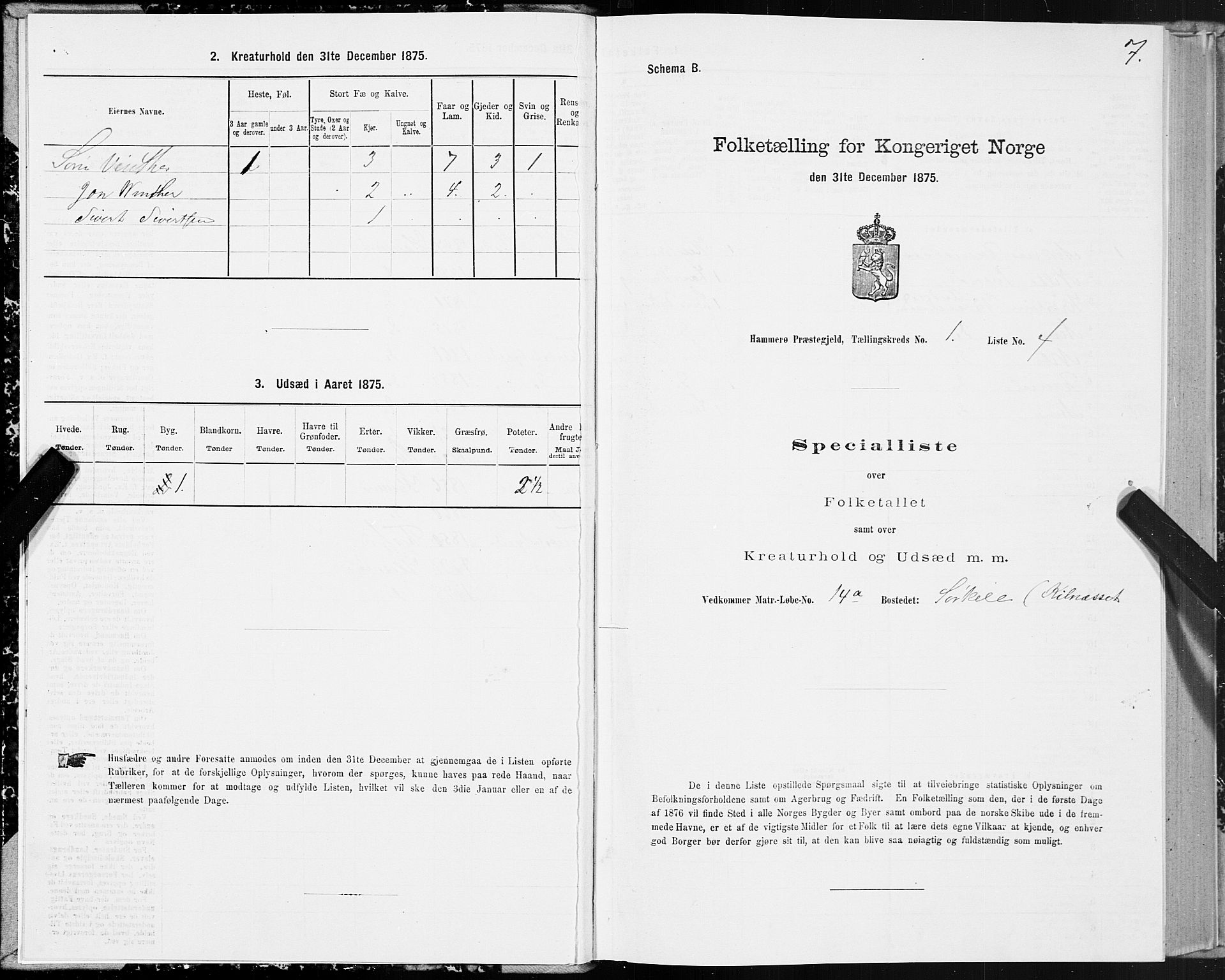 SAT, Folketelling 1875 for 1849P Hamarøy prestegjeld, 1875, s. 1007