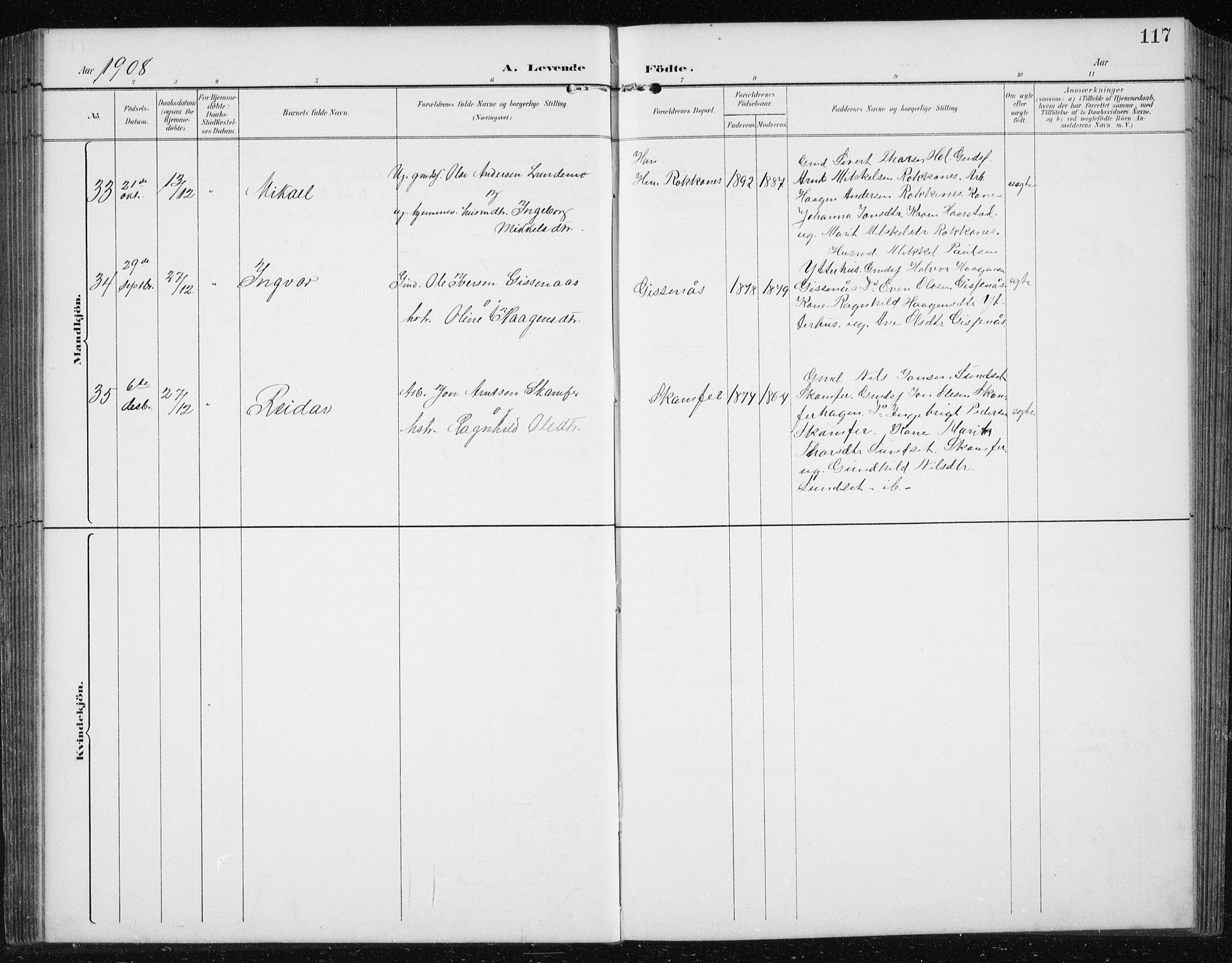 Ministerialprotokoller, klokkerbøker og fødselsregistre - Sør-Trøndelag, SAT/A-1456/674/L0876: Klokkerbok nr. 674C03, 1892-1912, s. 117