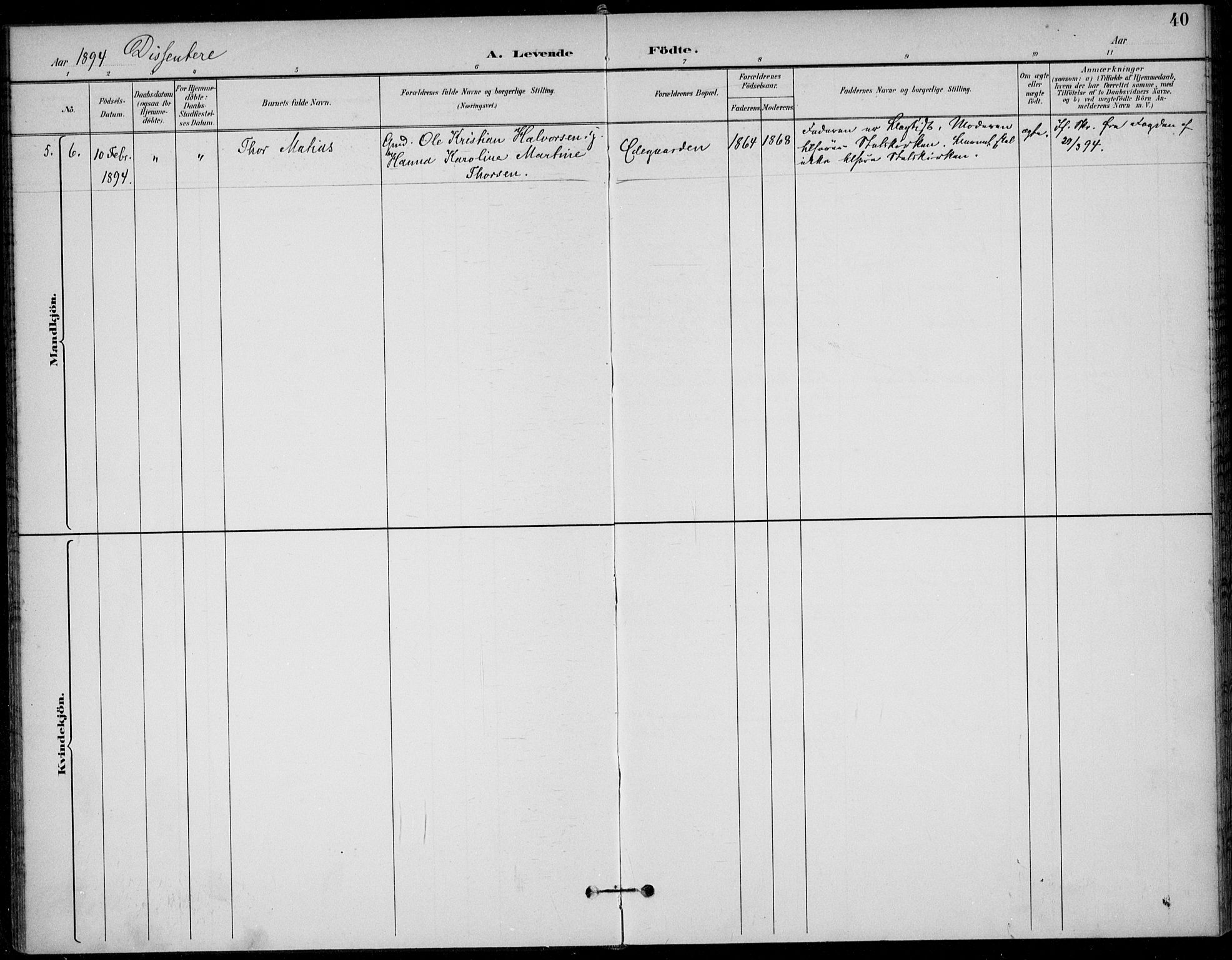 Solum kirkebøker, AV/SAKO-A-306/F/Fc/L0002: Ministerialbok nr. III 2, 1892-1906, s. 40