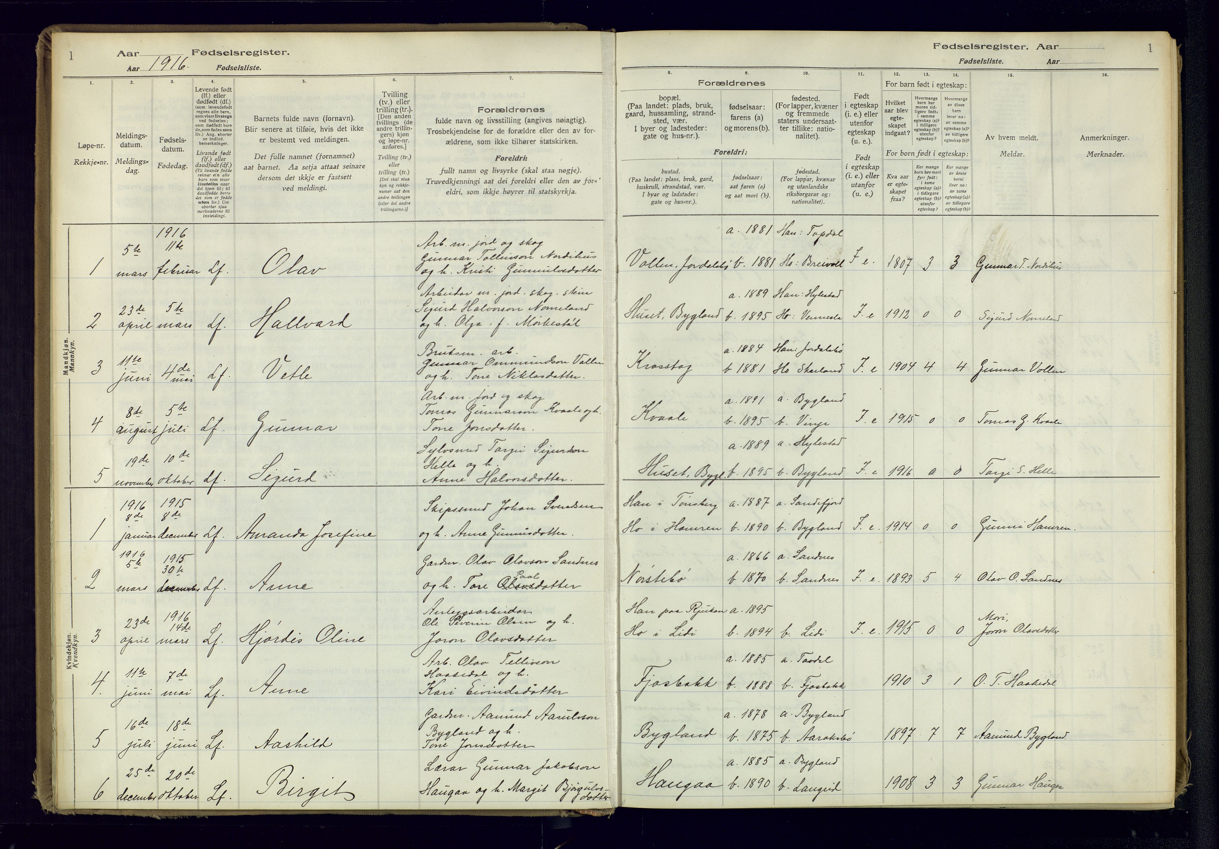 Bygland sokneprestkontor, SAK/1111-0006/J/Ja/L0001: Fødselsregister nr. II.4.2, 1916-1982, s. 1