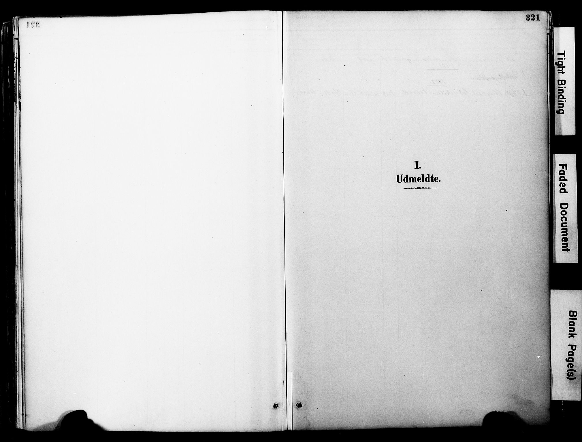 Ministerialprotokoller, klokkerbøker og fødselsregistre - Møre og Romsdal, AV/SAT-A-1454/578/L0907: Ministerialbok nr. 578A06, 1887-1904, s. 321