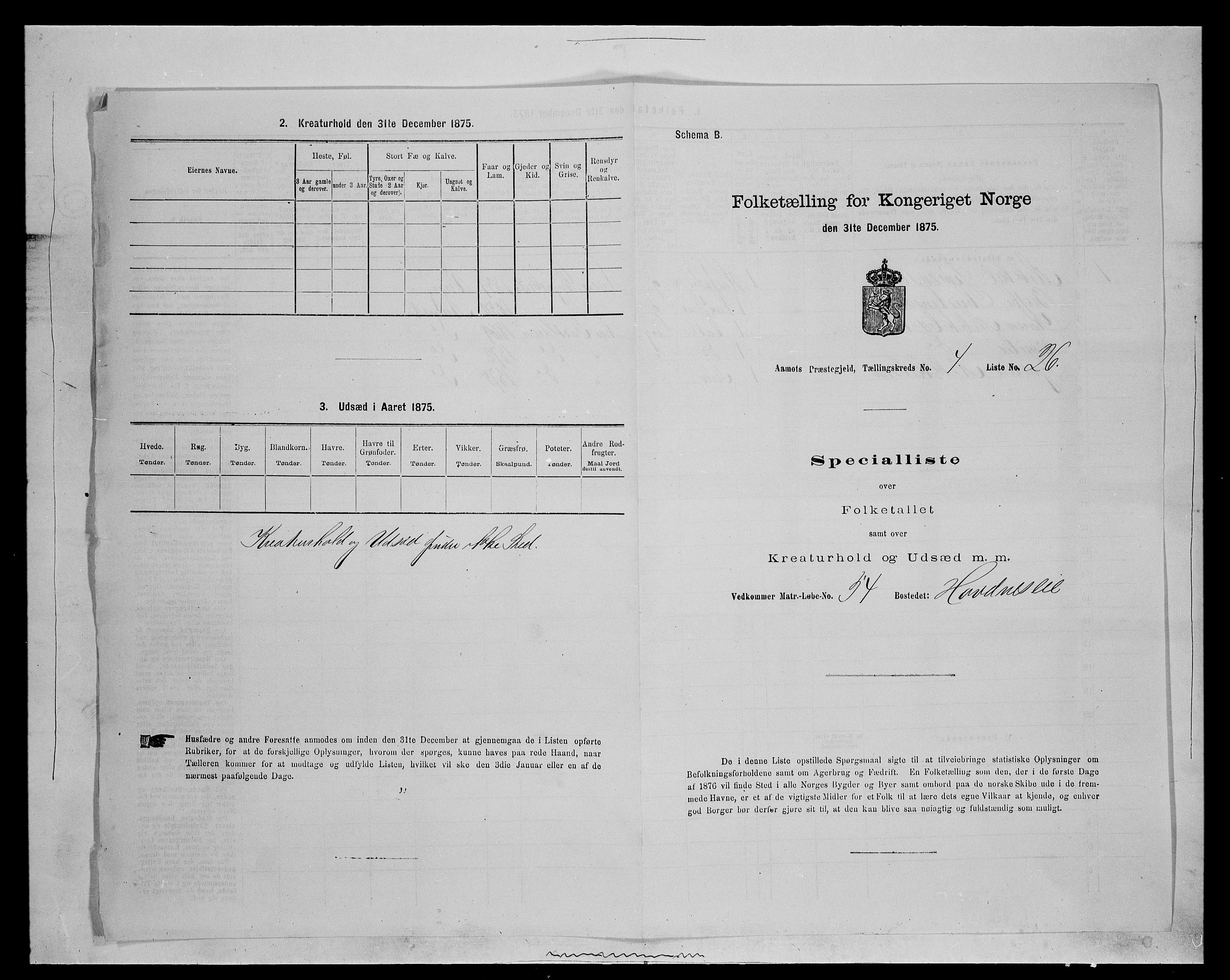 SAH, Folketelling 1875 for 0429P Åmot prestegjeld, 1875, s. 728