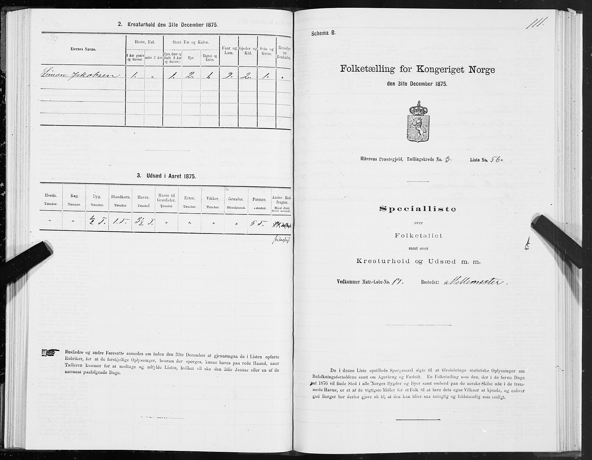 SAT, Folketelling 1875 for 1617P Hitra prestegjeld, 1875, s. 2111