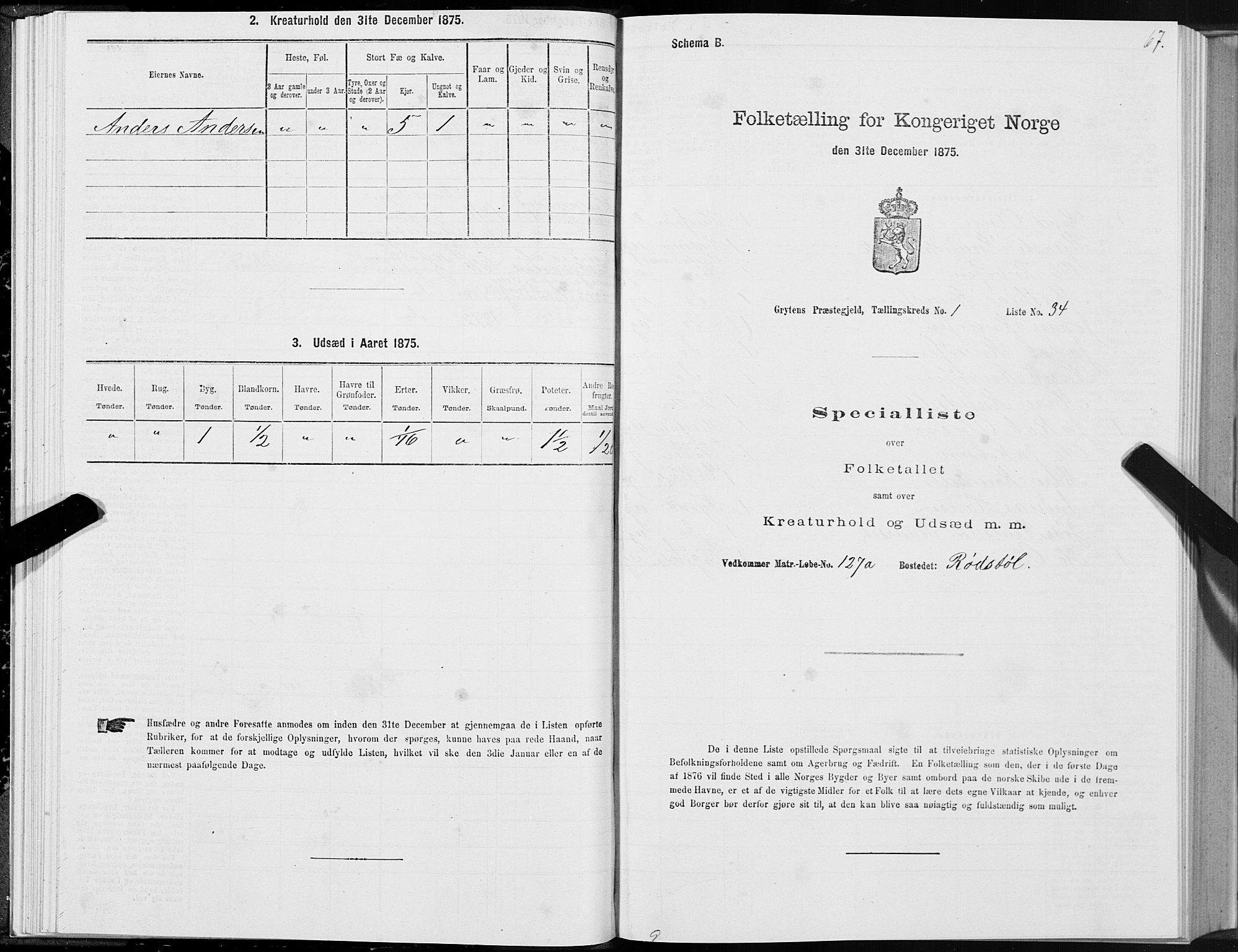 SAT, Folketelling 1875 for 1539P Grytten prestegjeld, 1875, s. 1067