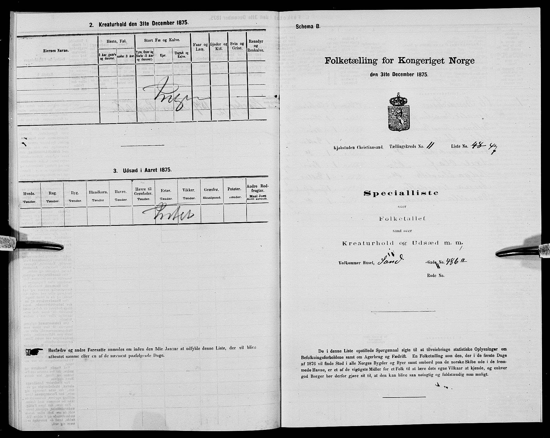 SAK, Folketelling 1875 for 1001P Kristiansand prestegjeld, 1875, s. 1917