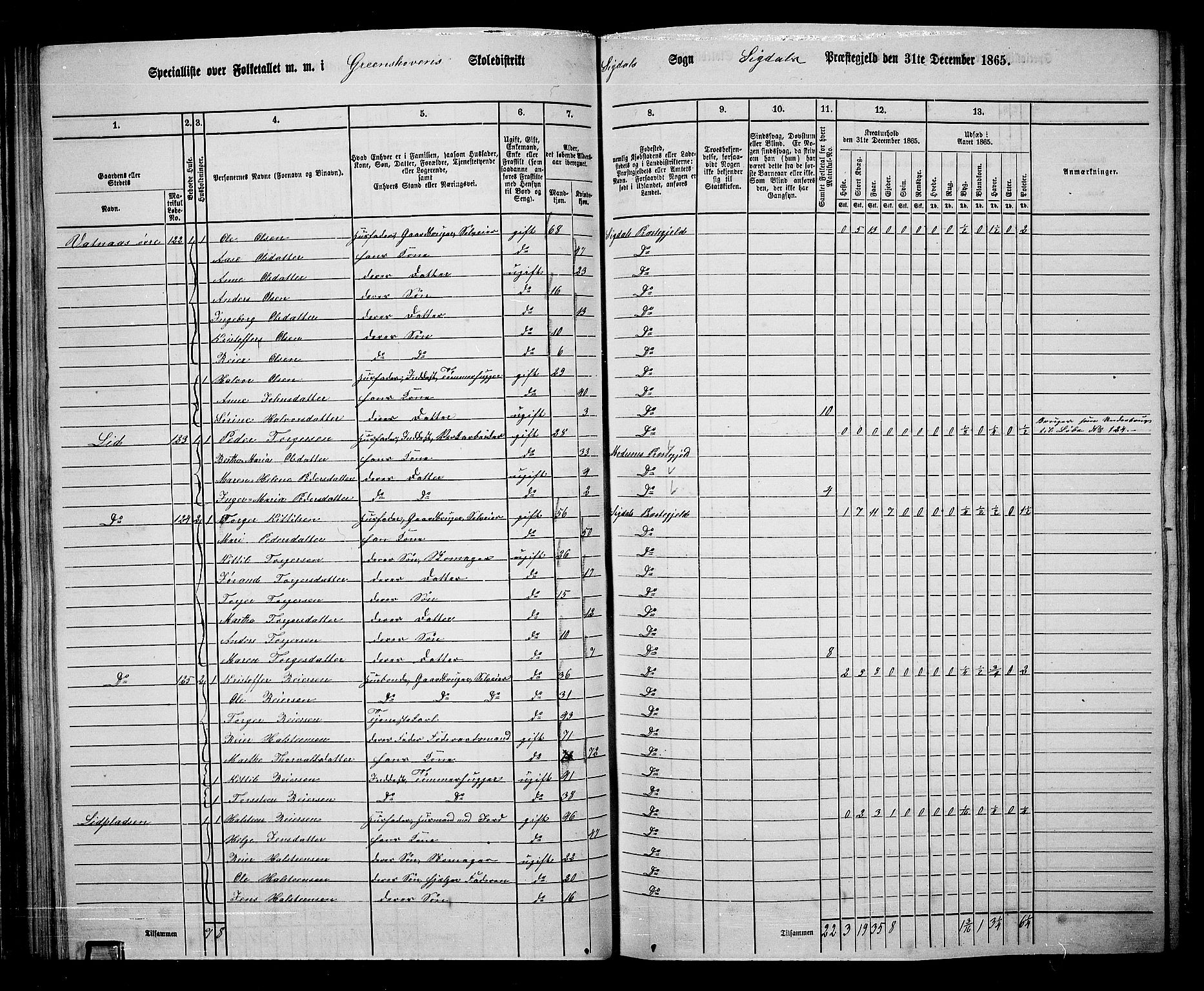 RA, Folketelling 1865 for 0621P Sigdal prestegjeld, 1865, s. 97