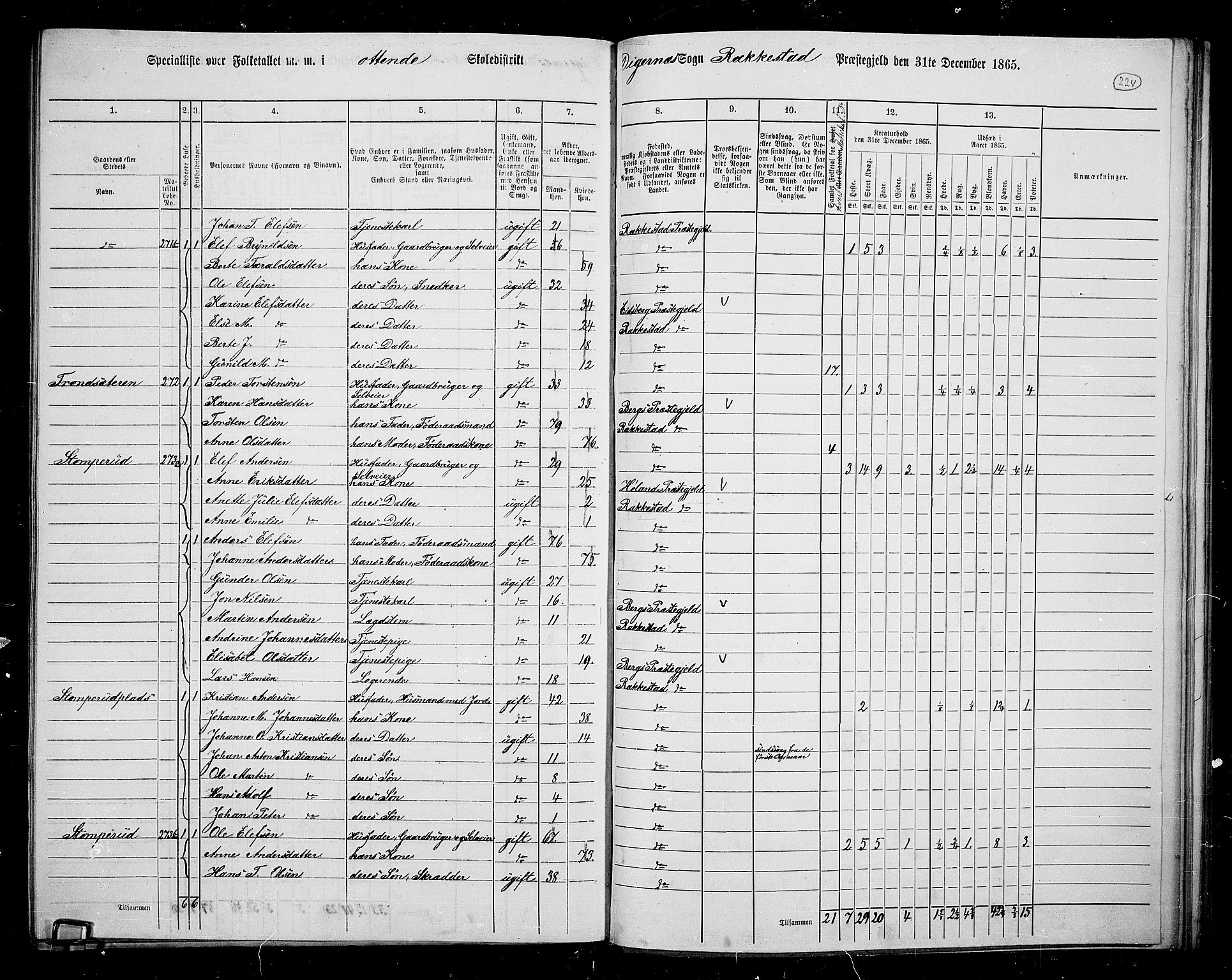 RA, Folketelling 1865 for 0128P Rakkestad prestegjeld, 1865, s. 215