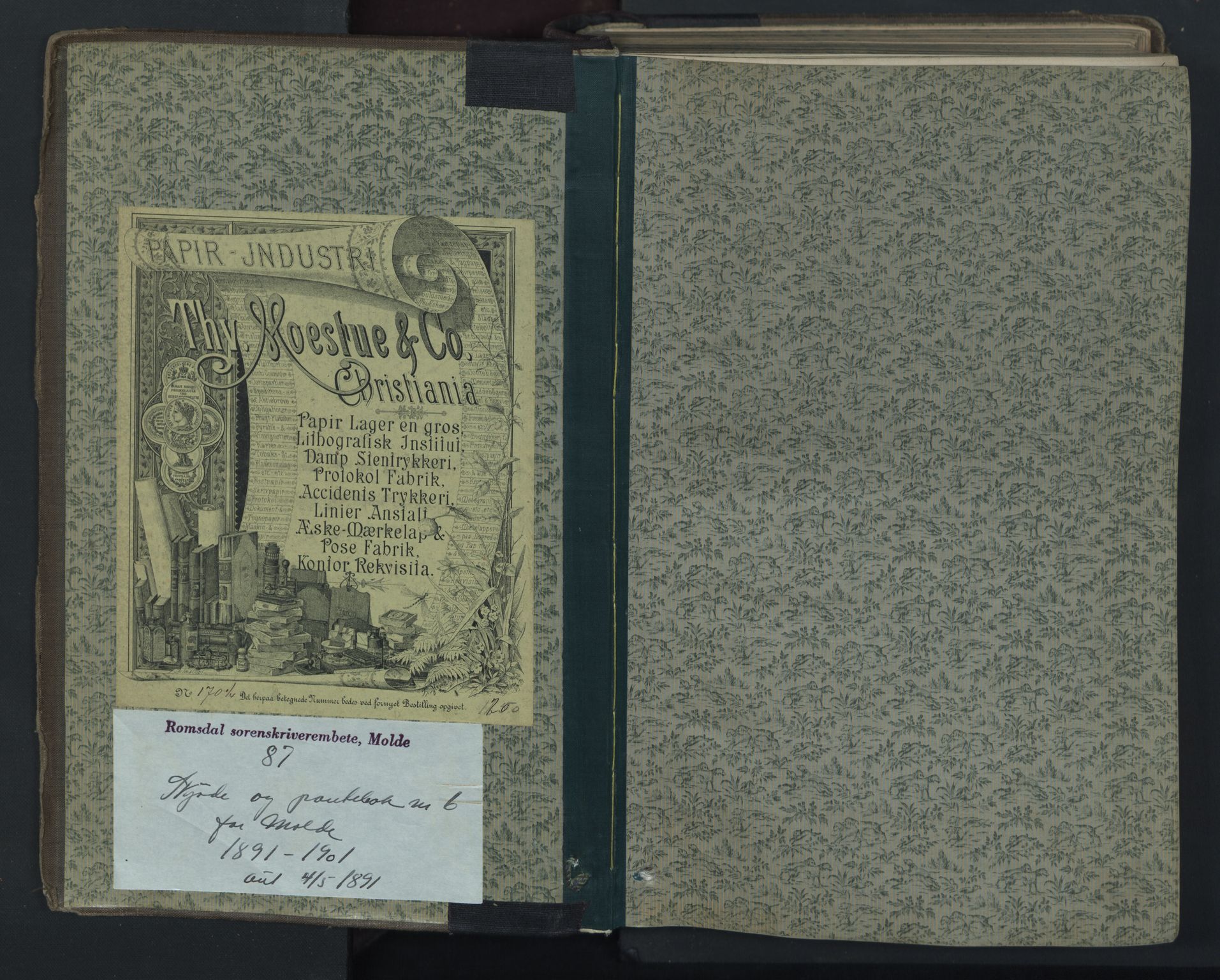 Molde byfogd, AV/SAT-A-0025/2/2C/L0006: Pantebok nr. 6, 1891-1901