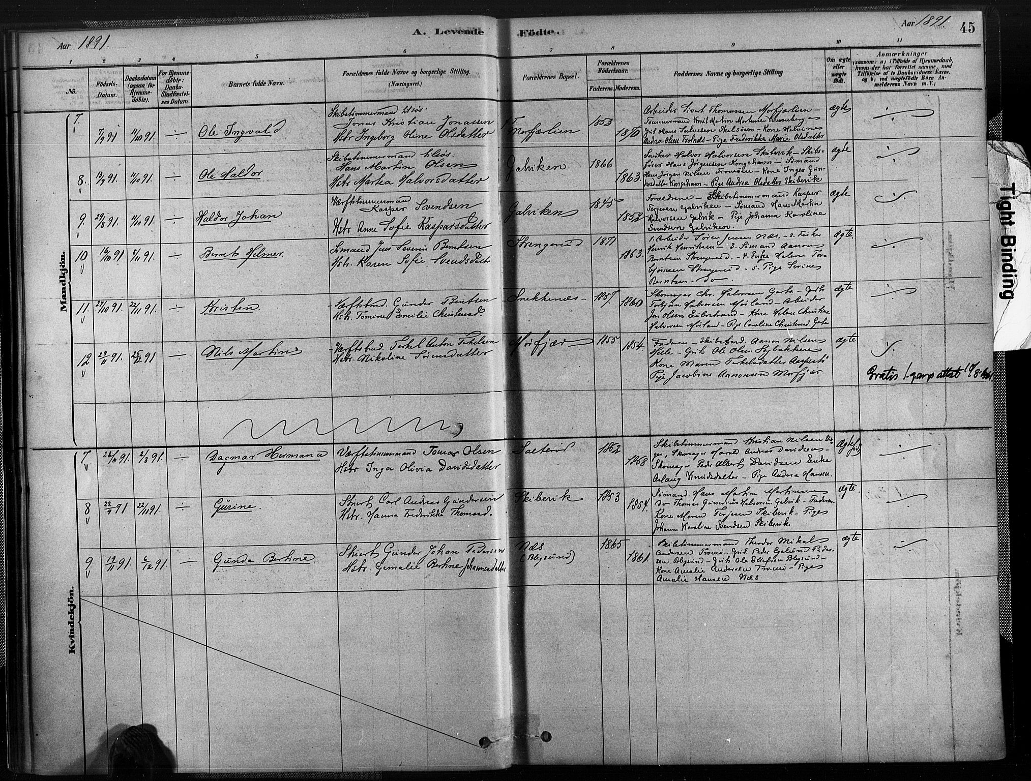 Austre Moland sokneprestkontor, AV/SAK-1111-0001/F/Fa/Fab/L0001: Ministerialbok nr. A 1, 1878-1898, s. 45