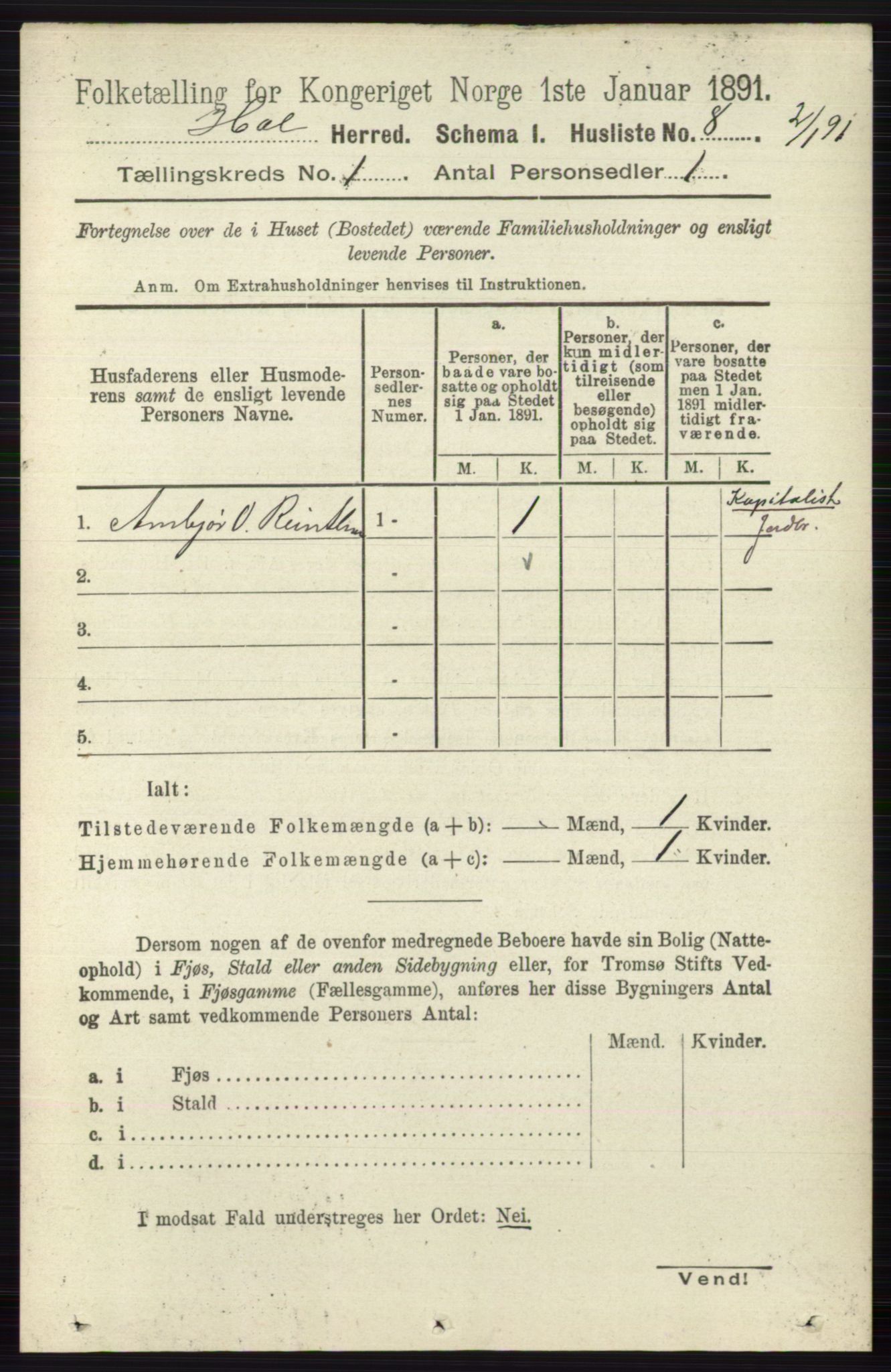 RA, Folketelling 1891 for 0620 Hol herred, 1891, s. 34