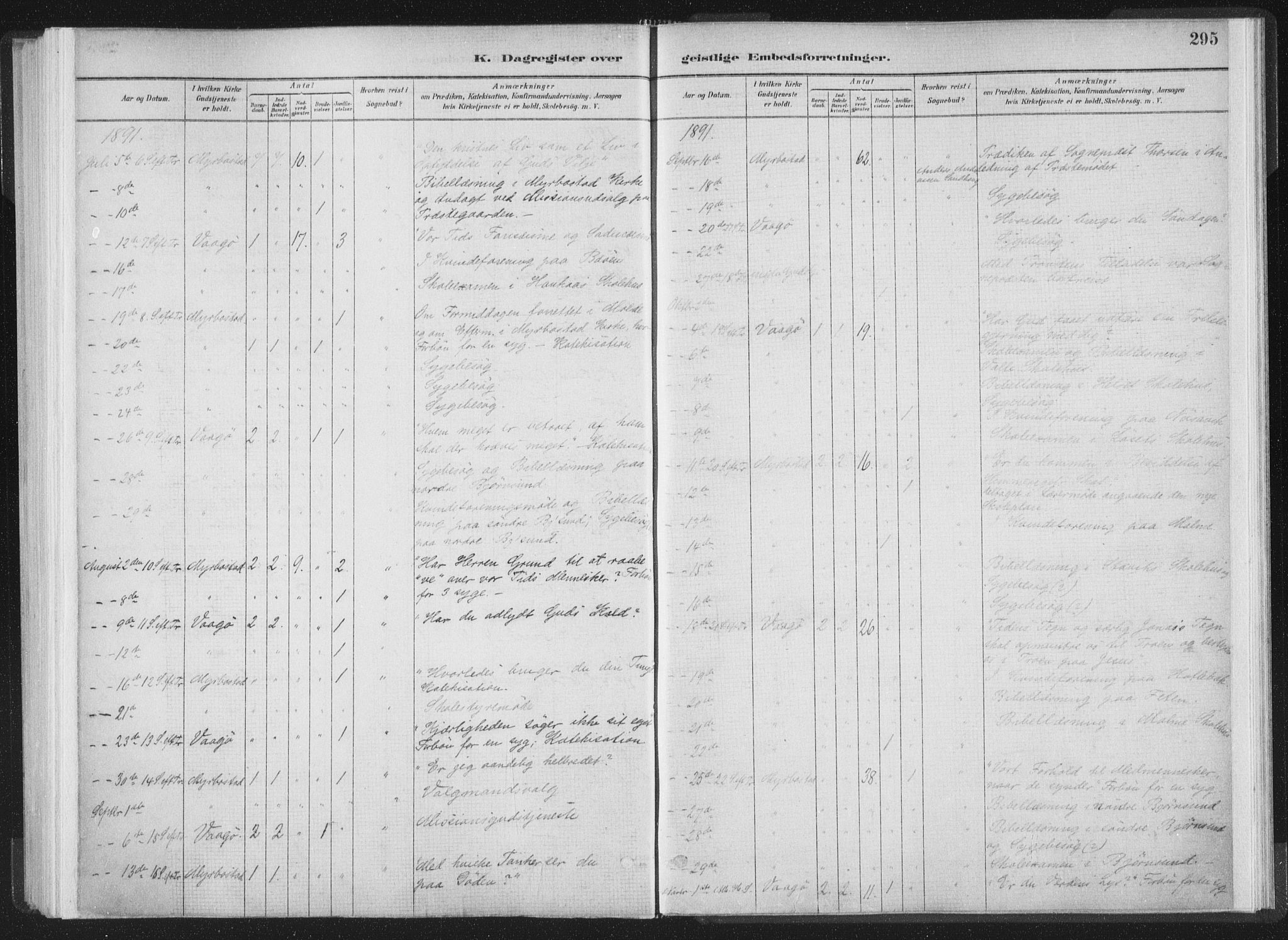 Ministerialprotokoller, klokkerbøker og fødselsregistre - Møre og Romsdal, AV/SAT-A-1454/564/L0740: Ministerialbok nr. 564A01, 1880-1899, s. 295