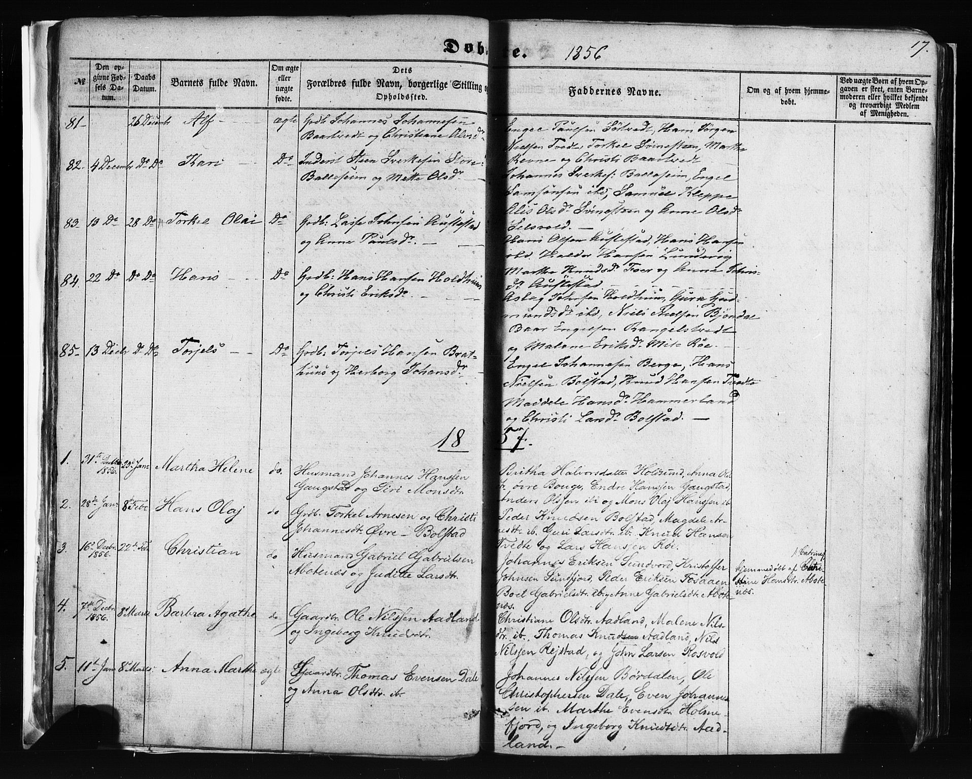 Fusa sokneprestembete, AV/SAB-A-75401/H/Haa: Ministerialbok nr. A 1I, 1855-1879, s. 17