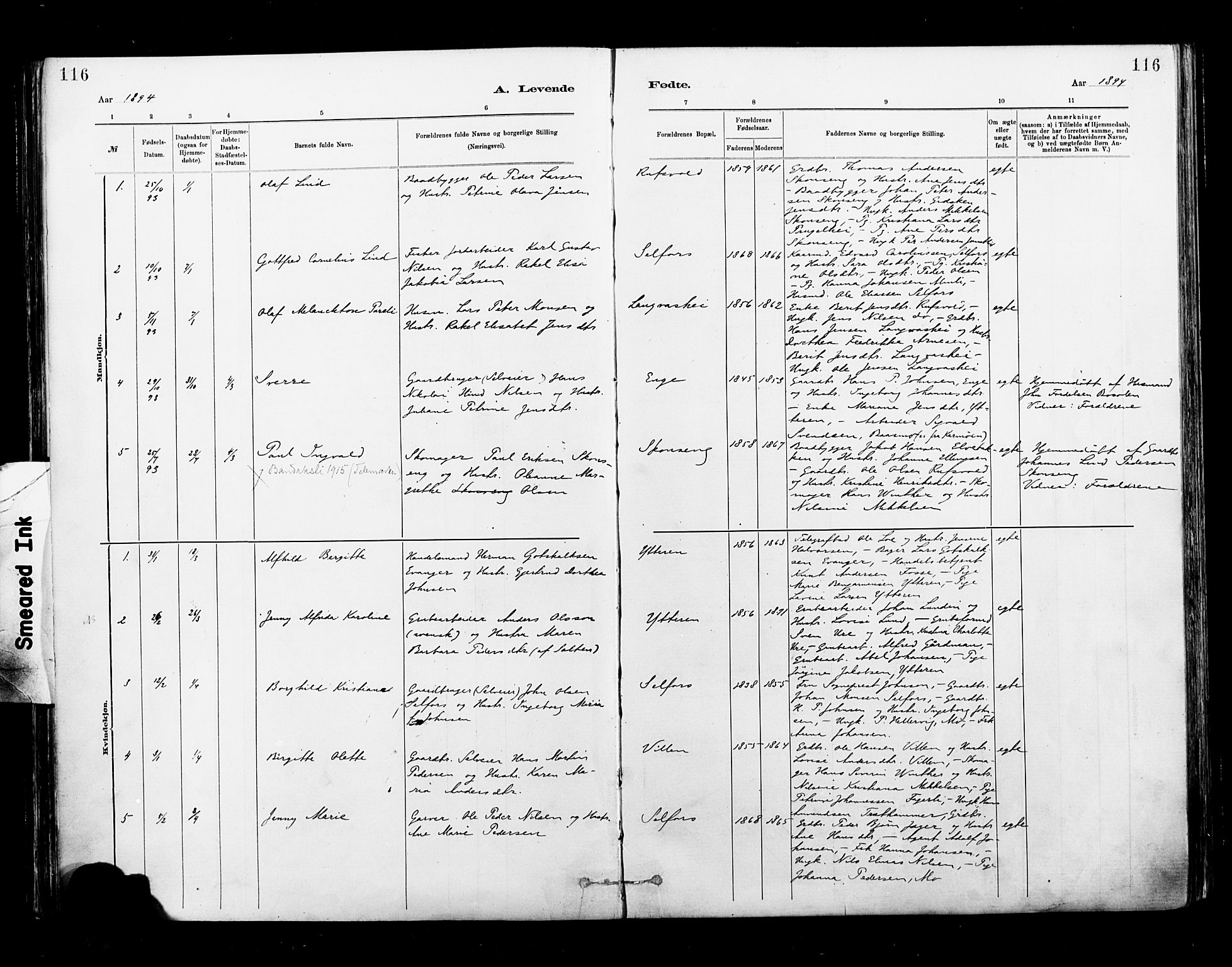 Ministerialprotokoller, klokkerbøker og fødselsregistre - Nordland, AV/SAT-A-1459/827/L0400: Ministerialbok nr. 827A12, 1883-1903, s. 116