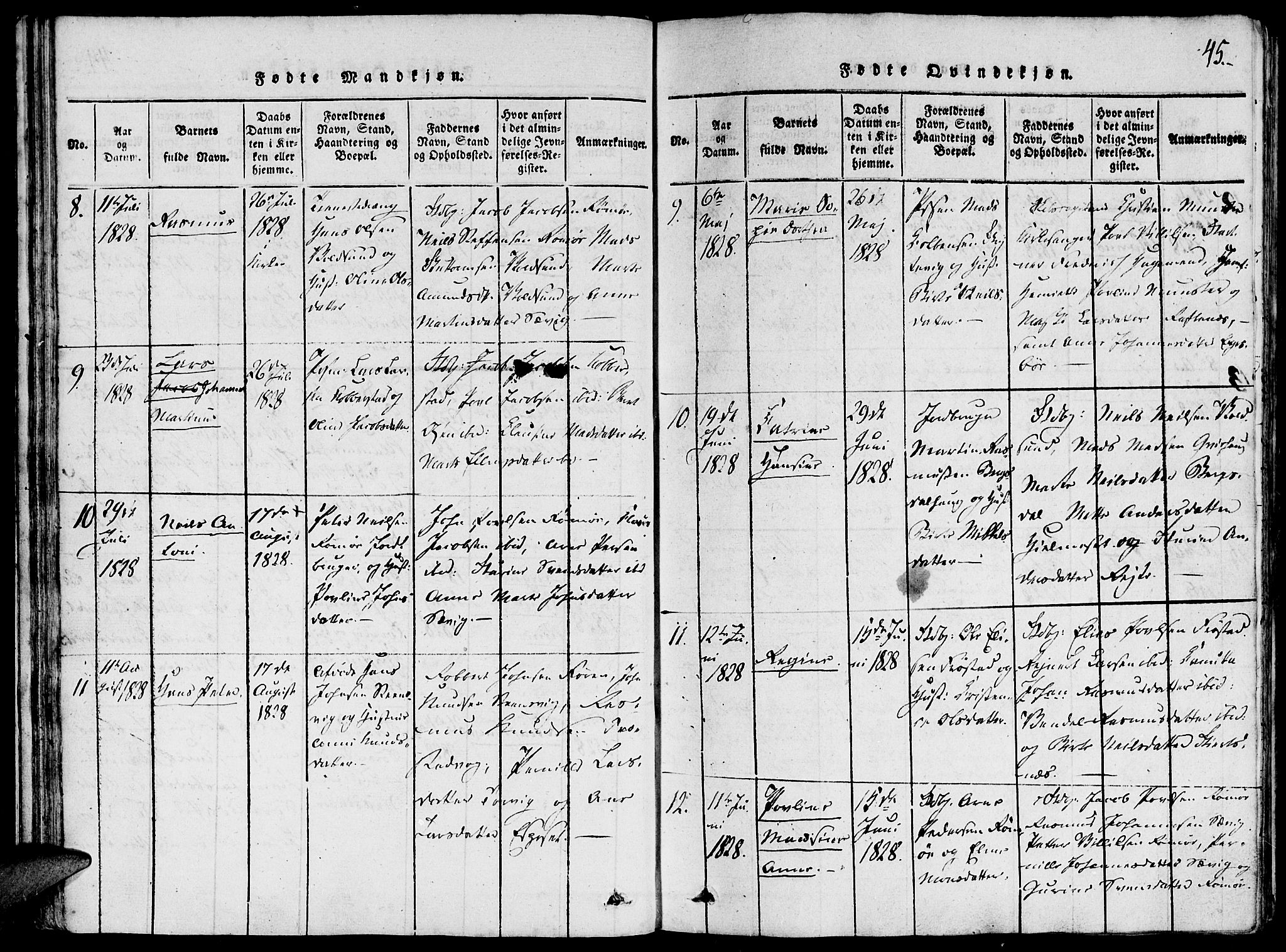 Ministerialprotokoller, klokkerbøker og fødselsregistre - Møre og Romsdal, AV/SAT-A-1454/507/L0069: Ministerialbok nr. 507A04, 1816-1841, s. 45