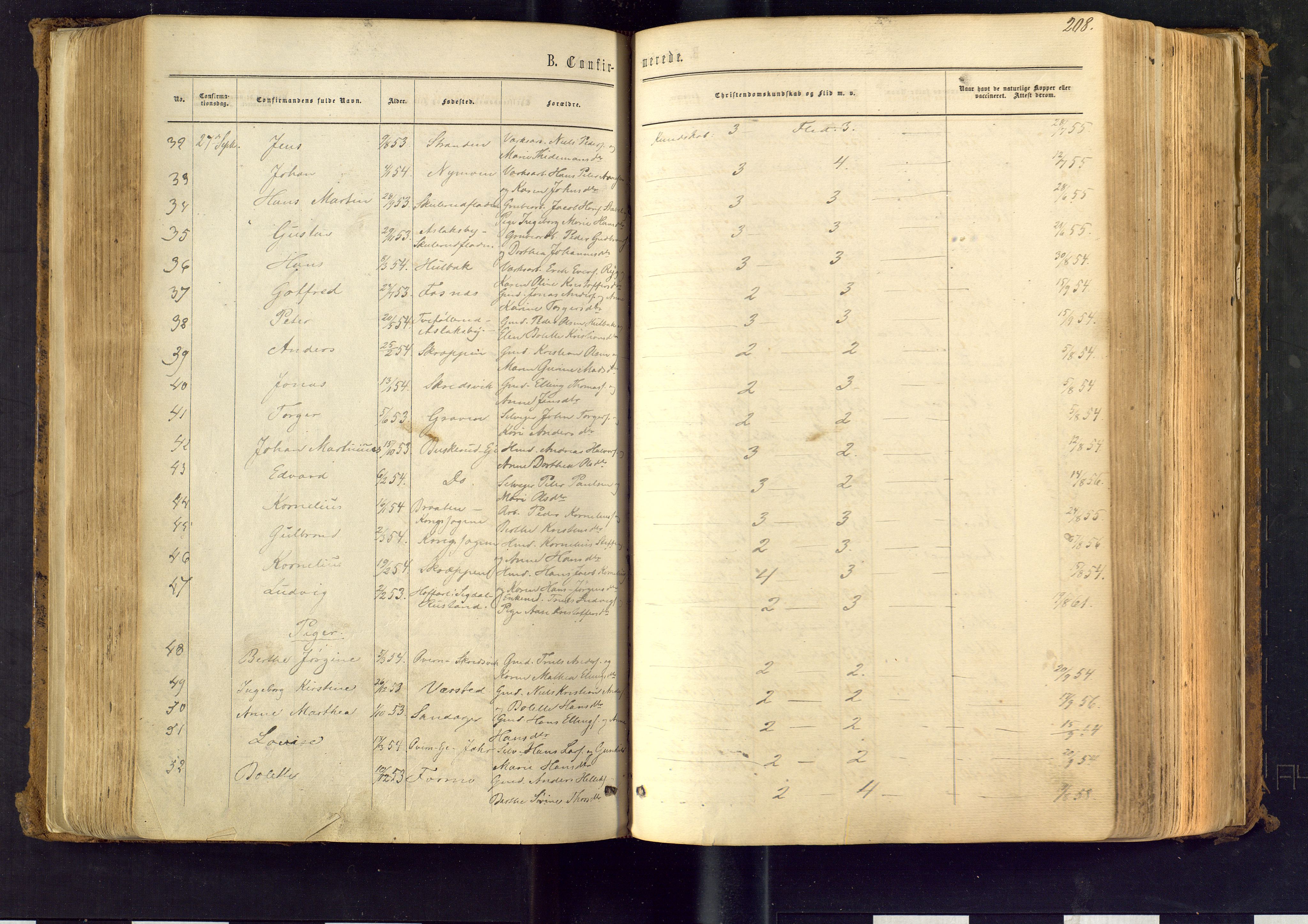 Modum kirkebøker, AV/SAKO-A-234/F/Fa/L0010: Ministerialbok nr. 10, 1865-1876, s. 208