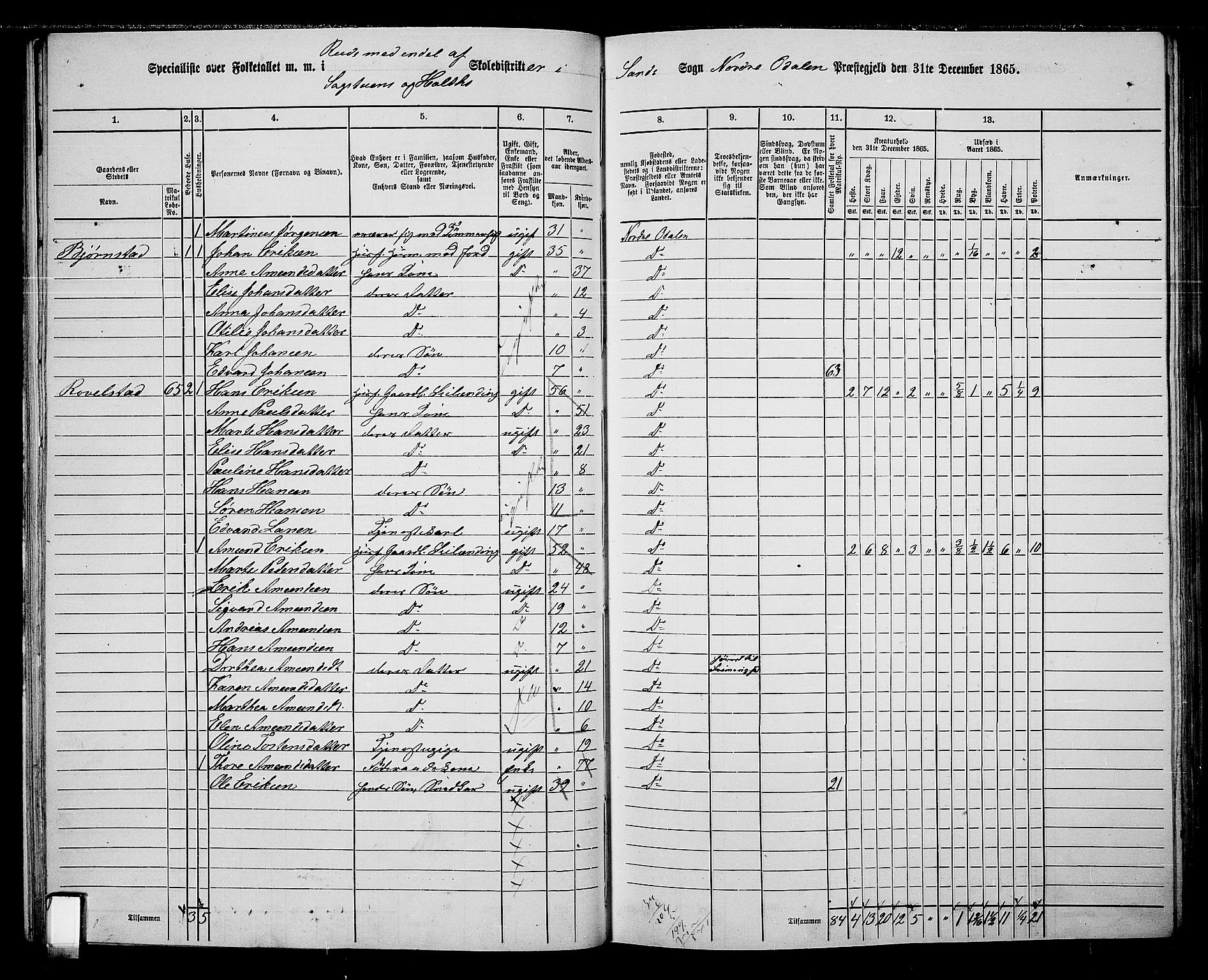 RA, Folketelling 1865 for 0418P Nord-Odal prestegjeld, 1865, s. 50