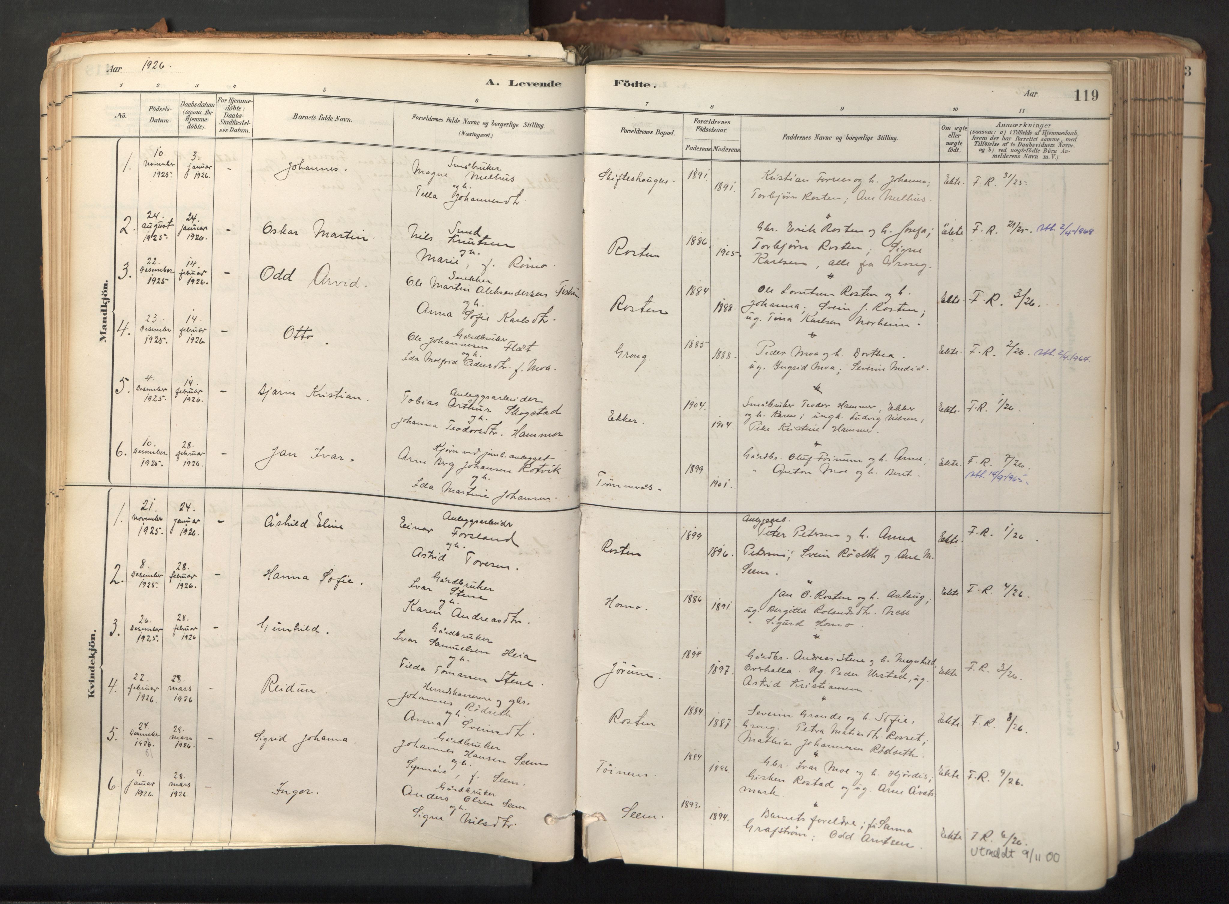 Ministerialprotokoller, klokkerbøker og fødselsregistre - Nord-Trøndelag, SAT/A-1458/758/L0519: Ministerialbok nr. 758A04, 1880-1926, s. 119