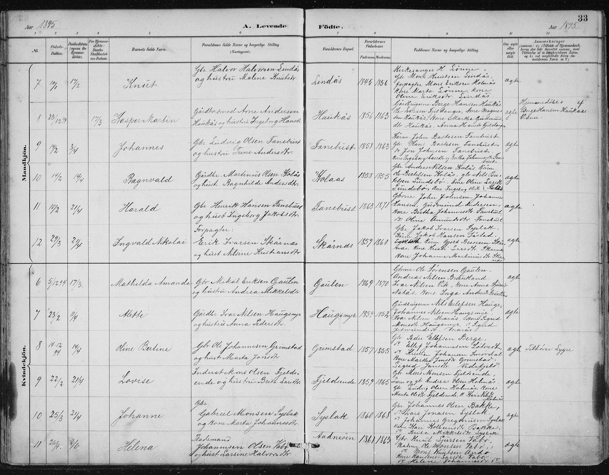 Lindås Sokneprestembete, AV/SAB-A-76701/H/Hab/Habb/L0003: Klokkerbok nr. B 3, 1886-1914, s. 33