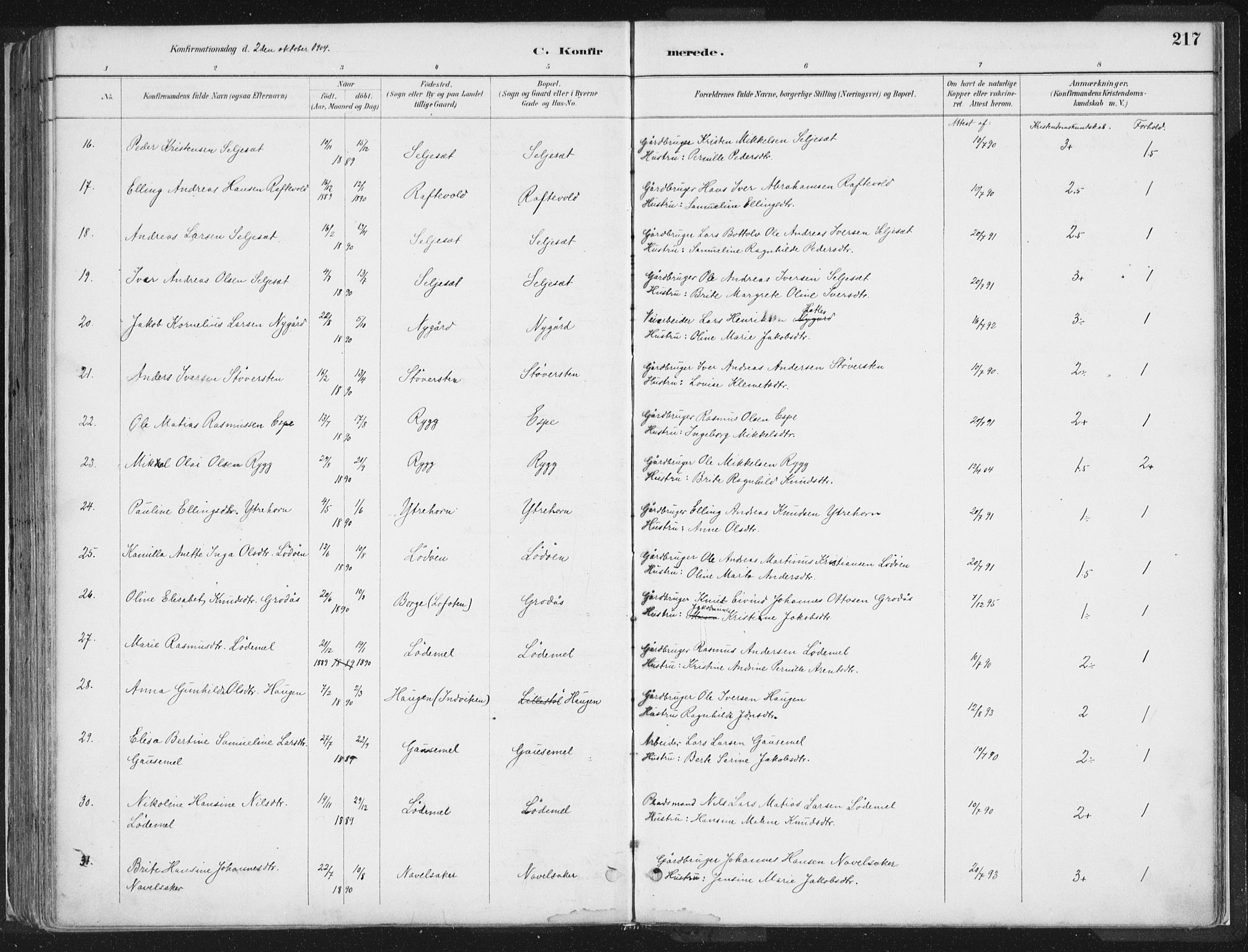 Hornindal sokneprestembete, AV/SAB-A-82401/H/Haa/Haaa/L0003/0001: Ministerialbok nr. A 3A, 1887-1917, s. 217