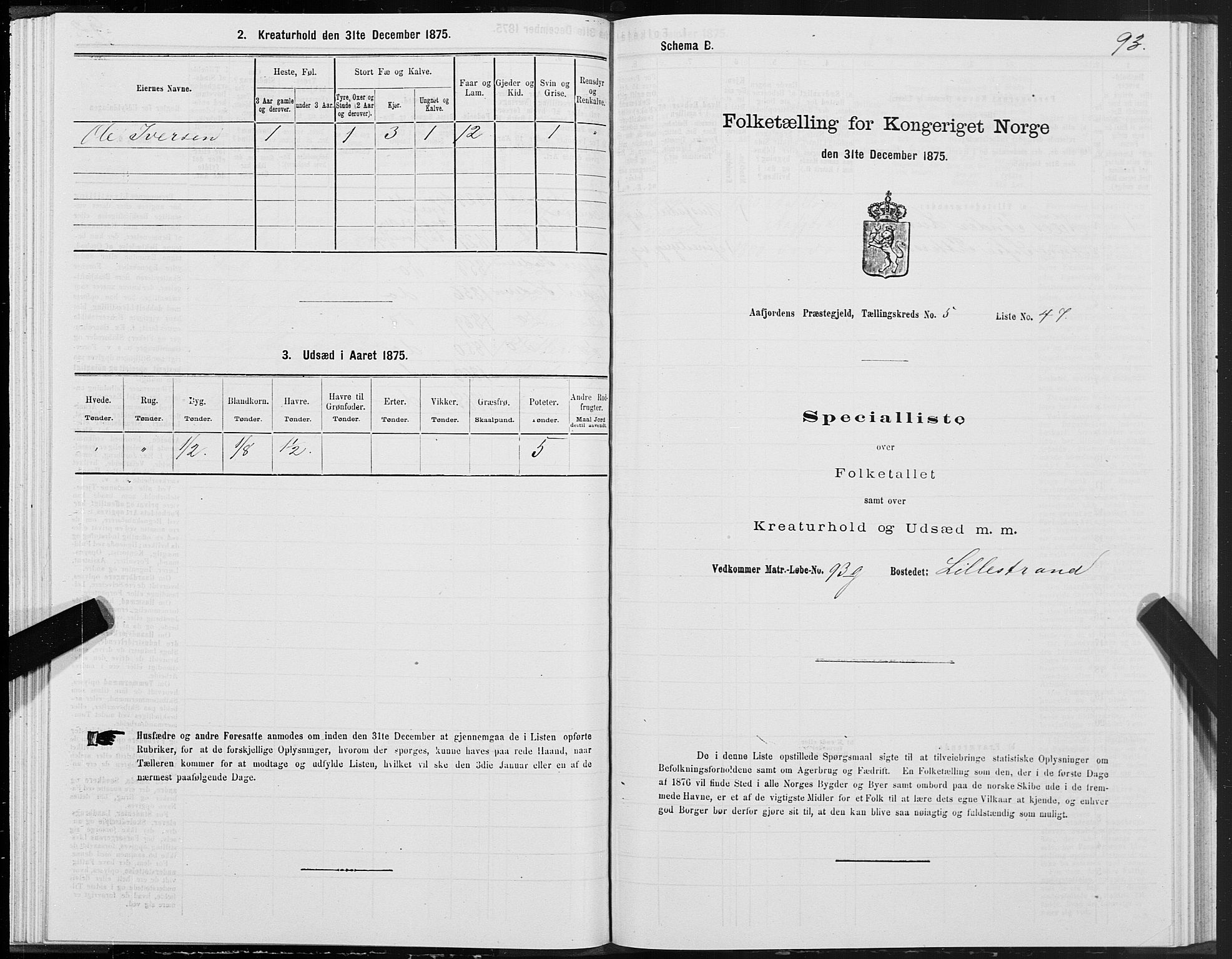 SAT, Folketelling 1875 for 1630P Aafjorden prestegjeld, 1875, s. 3093