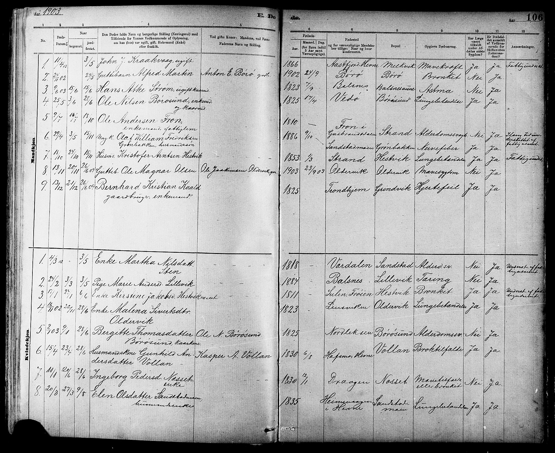 Ministerialprotokoller, klokkerbøker og fødselsregistre - Sør-Trøndelag, AV/SAT-A-1456/639/L0573: Klokkerbok nr. 639C01, 1890-1905, s. 106
