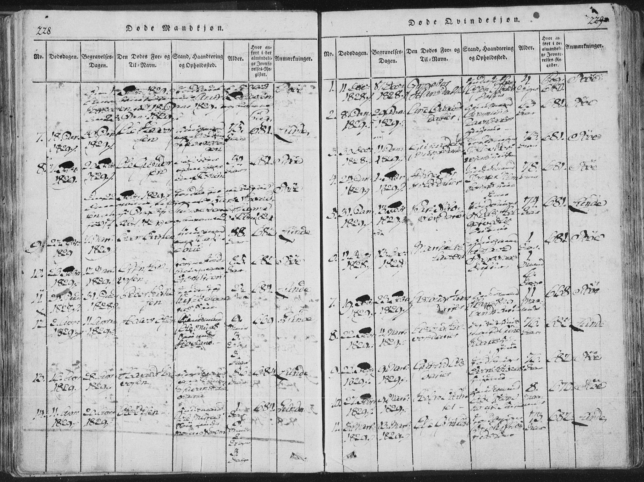 Bø kirkebøker, AV/SAKO-A-257/F/Fa/L0006: Ministerialbok nr. 6, 1815-1831, s. 228-229