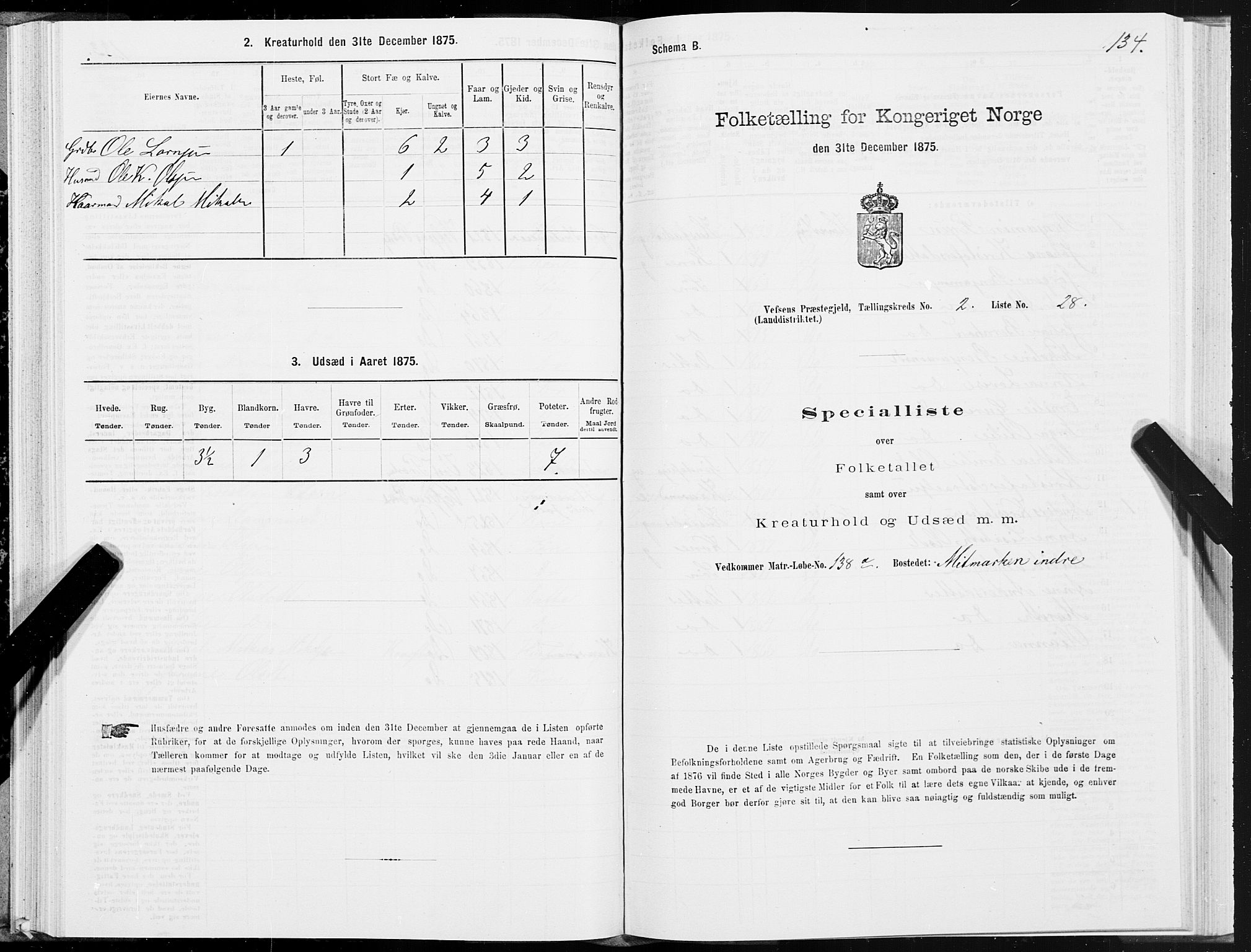 SAT, Folketelling 1875 for 1824L Vefsn prestegjeld, Vefsn sokn, 1875, s. 1134