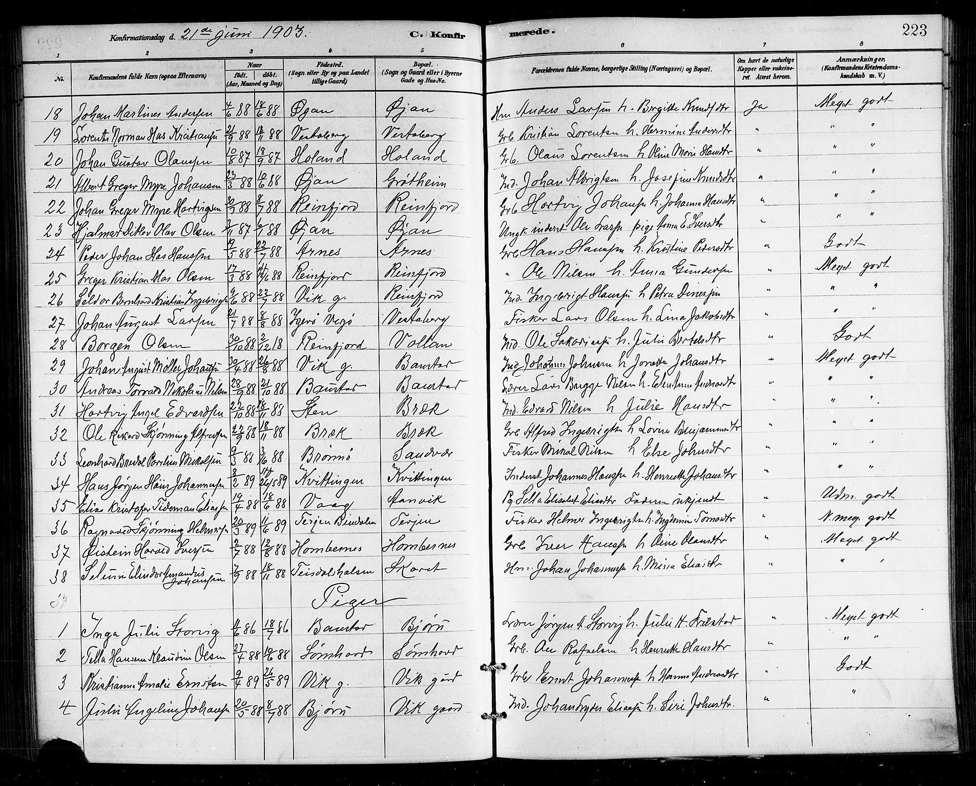 Ministerialprotokoller, klokkerbøker og fødselsregistre - Nordland, SAT/A-1459/812/L0188: Klokkerbok nr. 812C06, 1884-1912, s. 223
