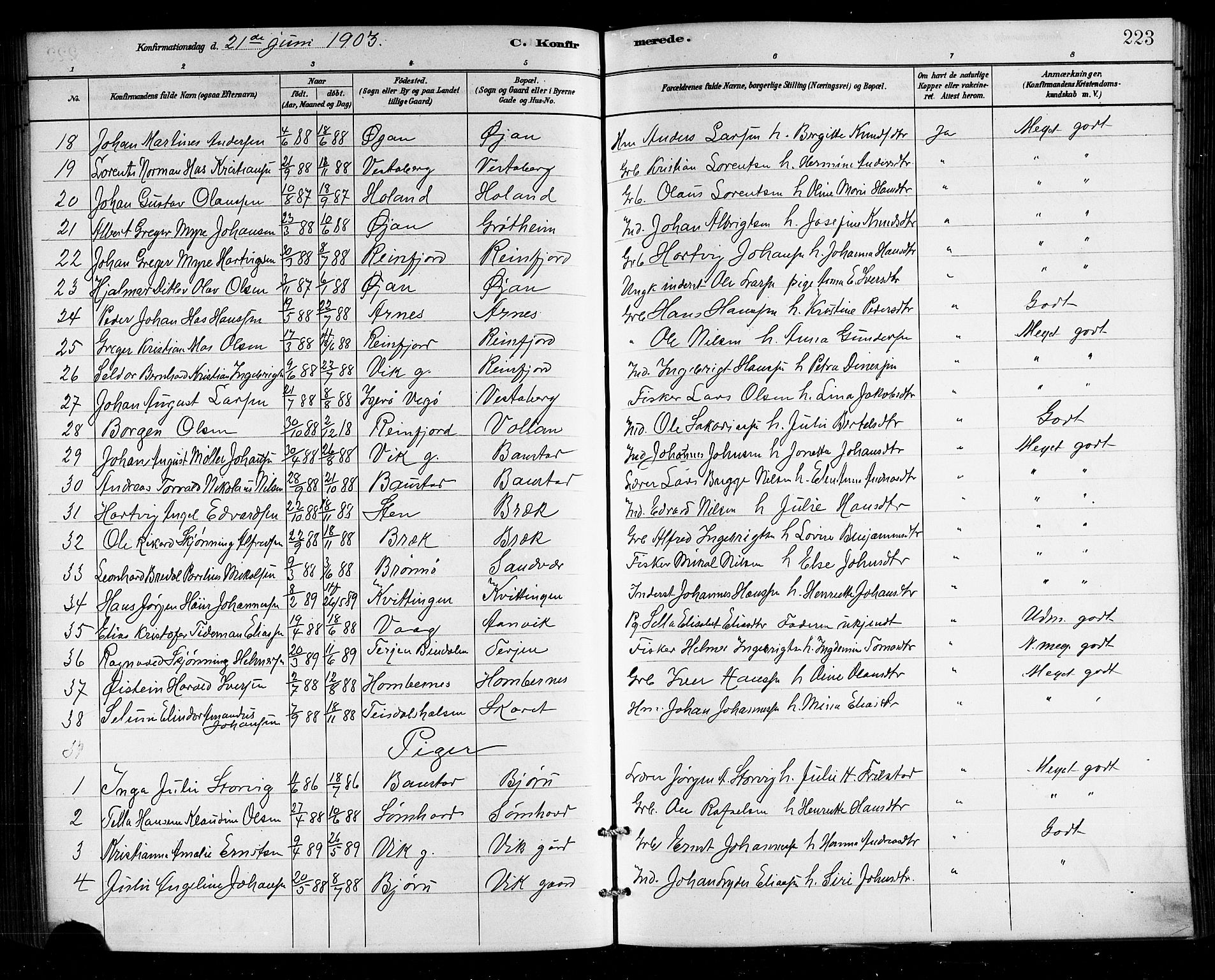 Ministerialprotokoller, klokkerbøker og fødselsregistre - Nordland, AV/SAT-A-1459/812/L0188: Klokkerbok nr. 812C06, 1884-1912, s. 223