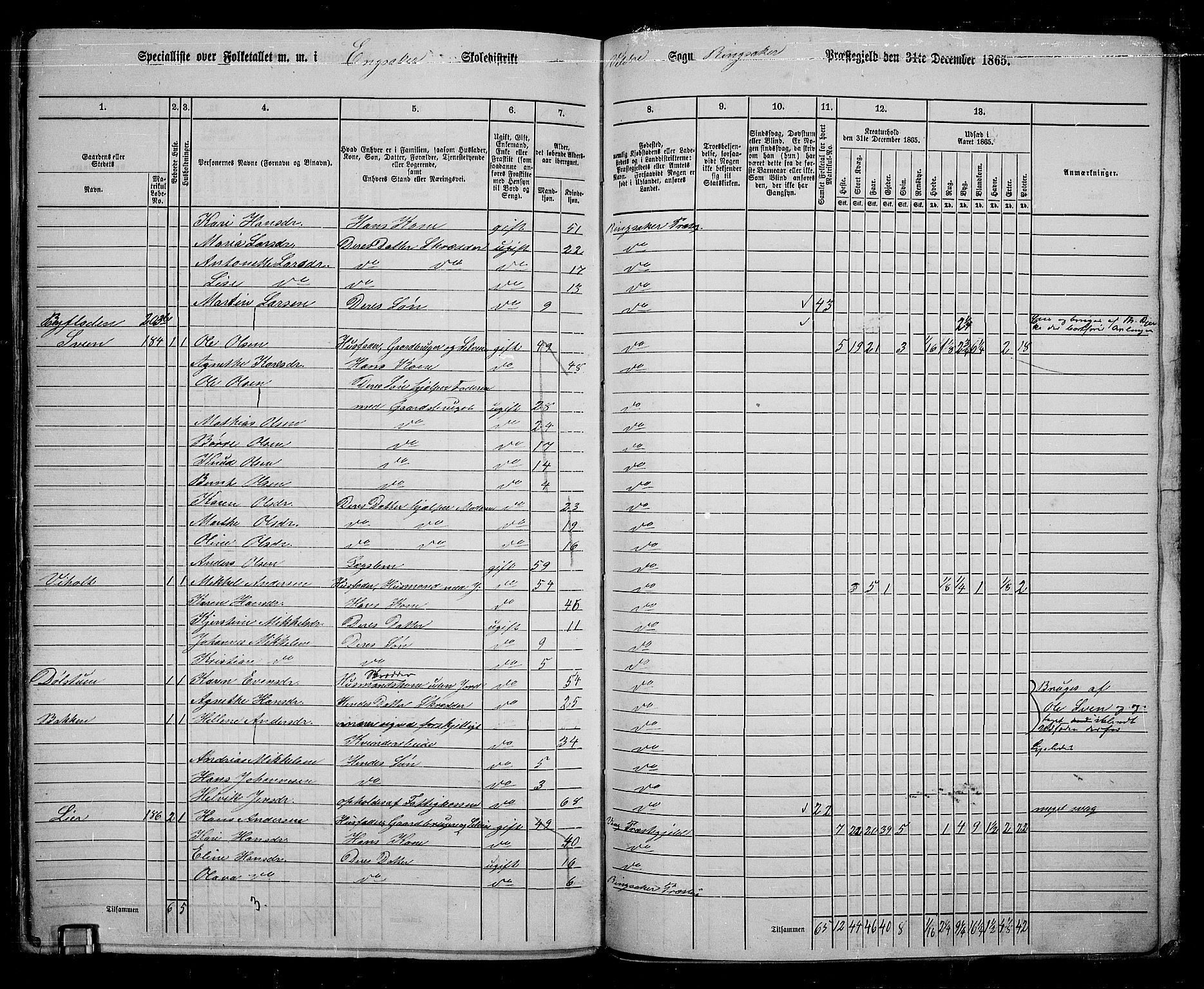 RA, Folketelling 1865 for 0412P Ringsaker prestegjeld, 1865, s. 236
