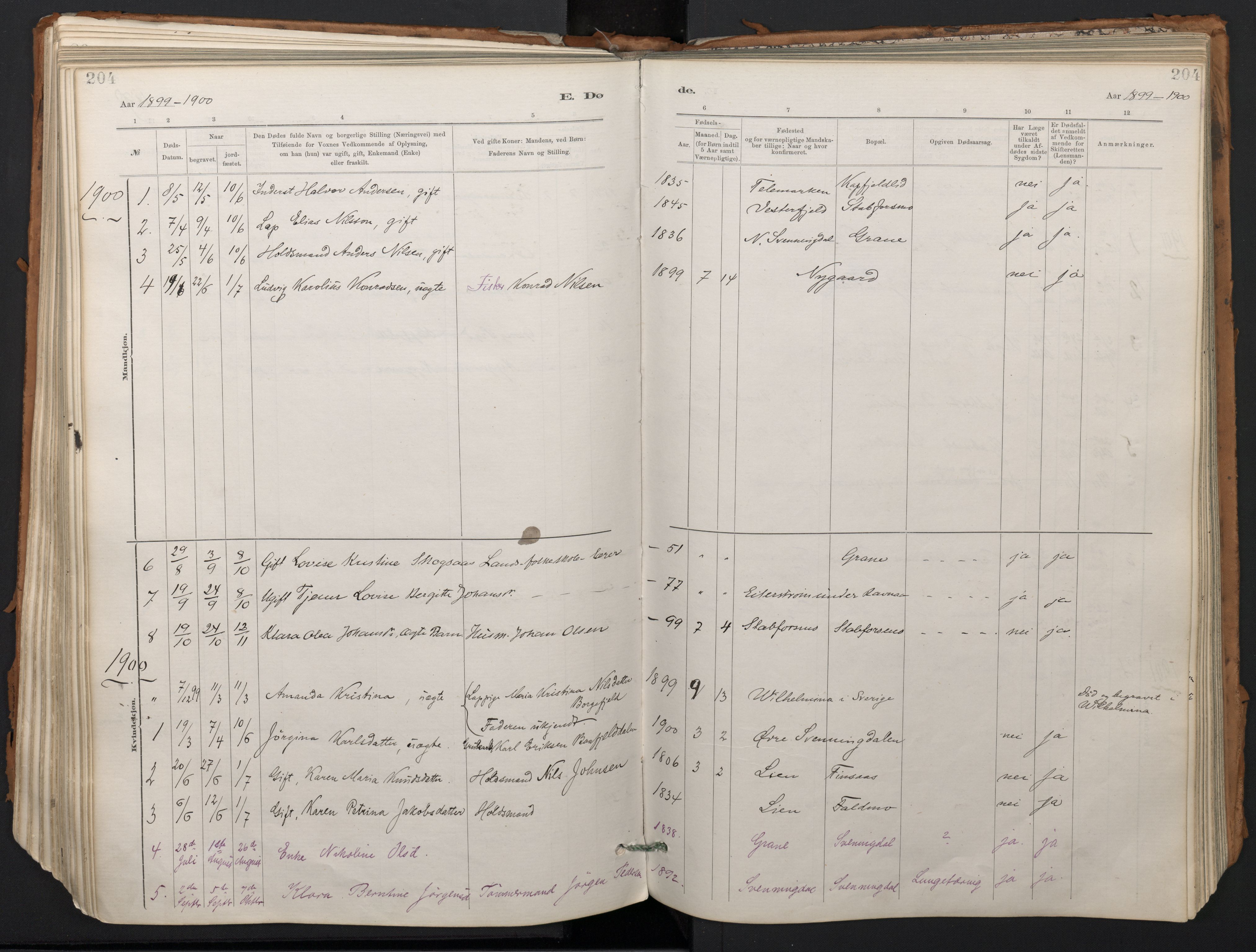 Ministerialprotokoller, klokkerbøker og fødselsregistre - Nordland, AV/SAT-A-1459/824/L0338: Ministerialbok nr. 824A01, 1880-1915, s. 204