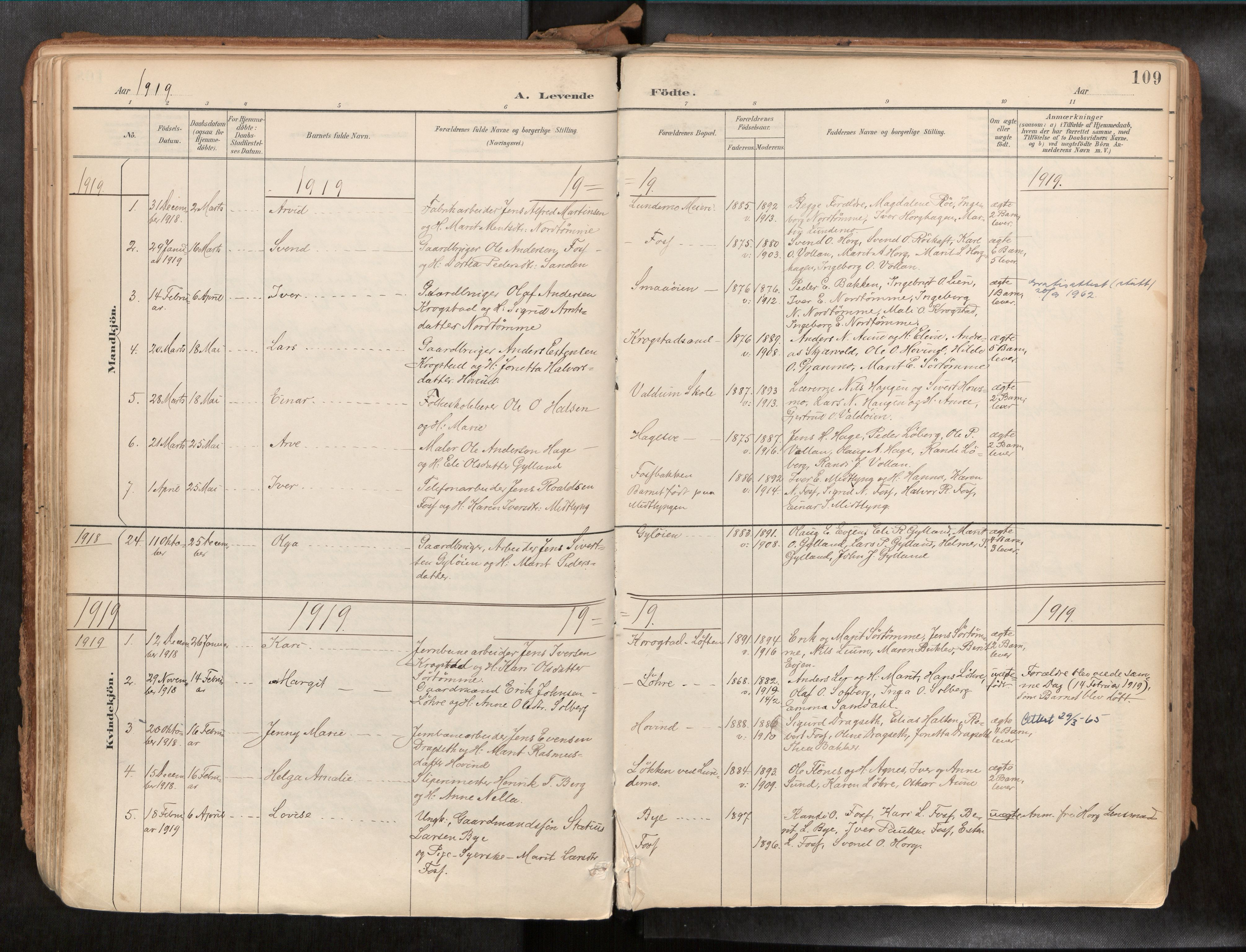 Ministerialprotokoller, klokkerbøker og fødselsregistre - Sør-Trøndelag, AV/SAT-A-1456/692/L1105b: Ministerialbok nr. 692A06, 1891-1934, s. 109