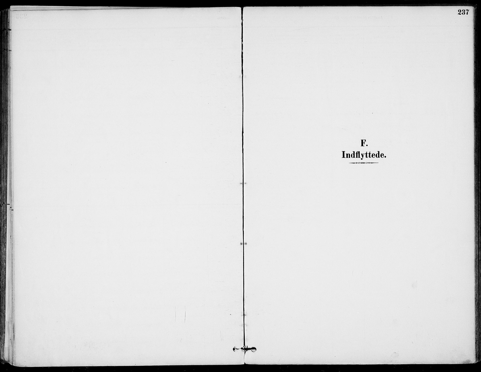 Gol kirkebøker, SAKO/A-226/F/Fa/L0005: Ministerialbok nr. I 5, 1887-1900, s. 237