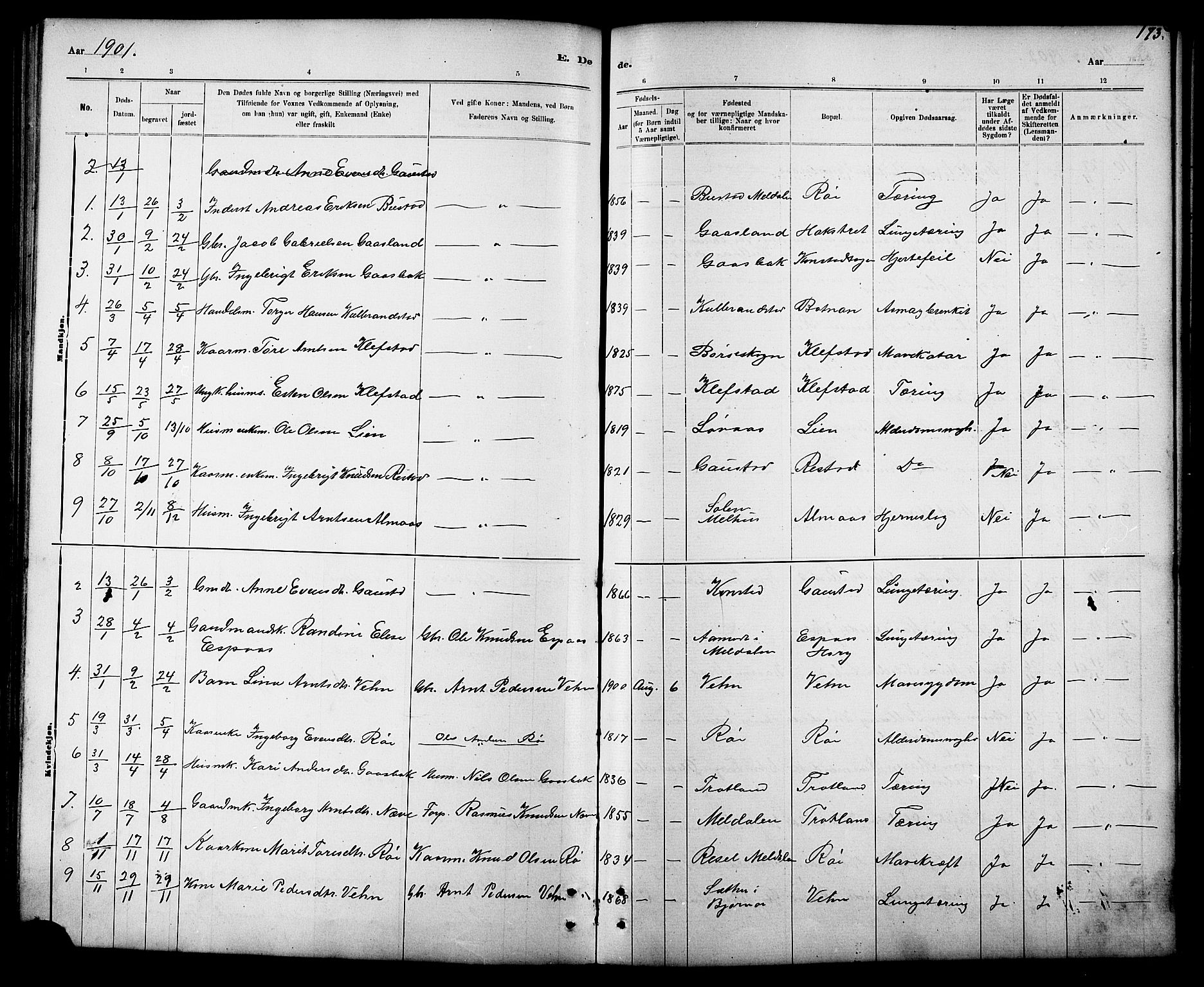 Ministerialprotokoller, klokkerbøker og fødselsregistre - Sør-Trøndelag, SAT/A-1456/694/L1132: Klokkerbok nr. 694C04, 1887-1914, s. 173